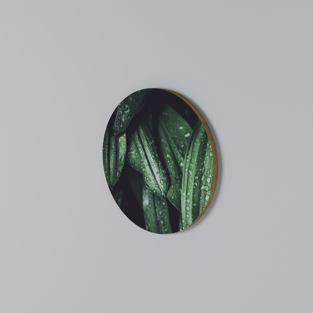 LUSH DROPLET DANCE Round Wall Art