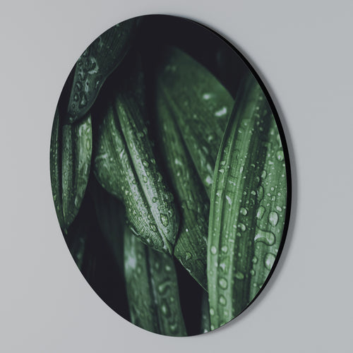 LUSH DROPLET DANCE Round Wall Art