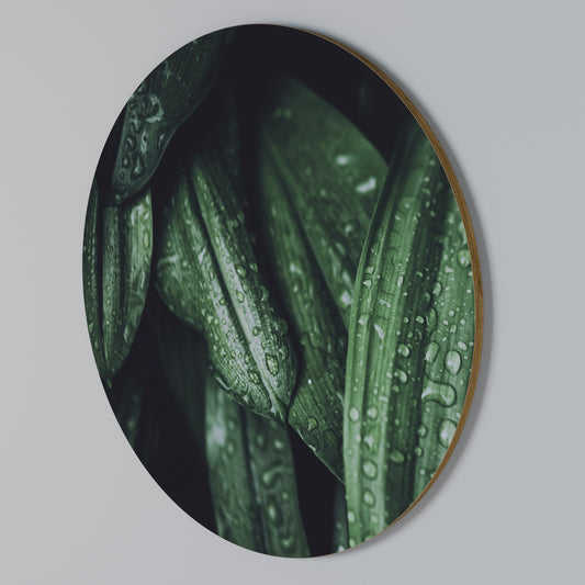 LUSH DROPLET DANCE Round Wall Art