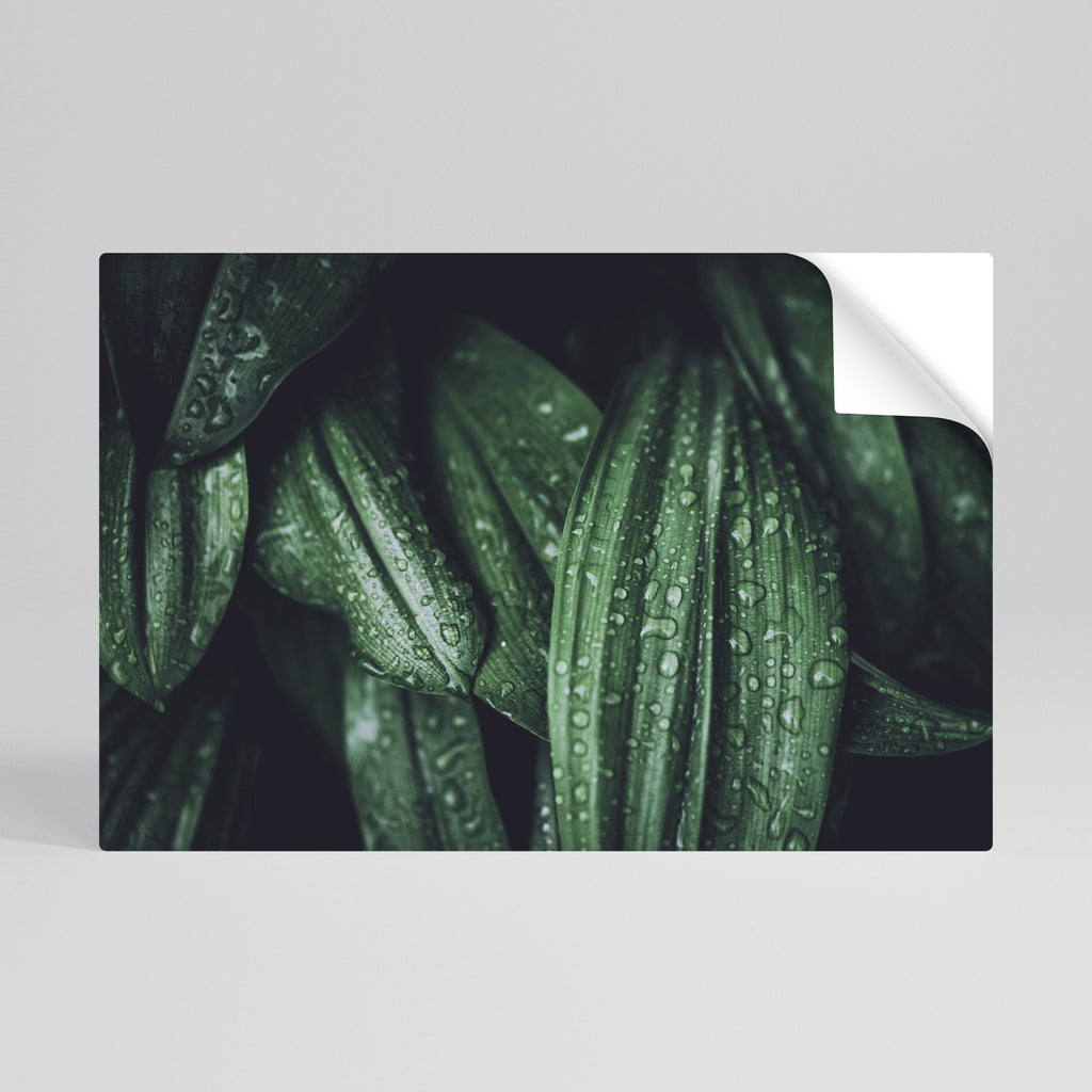 Affiche horizontale autocollante « LUSH DROPLET DANCE »