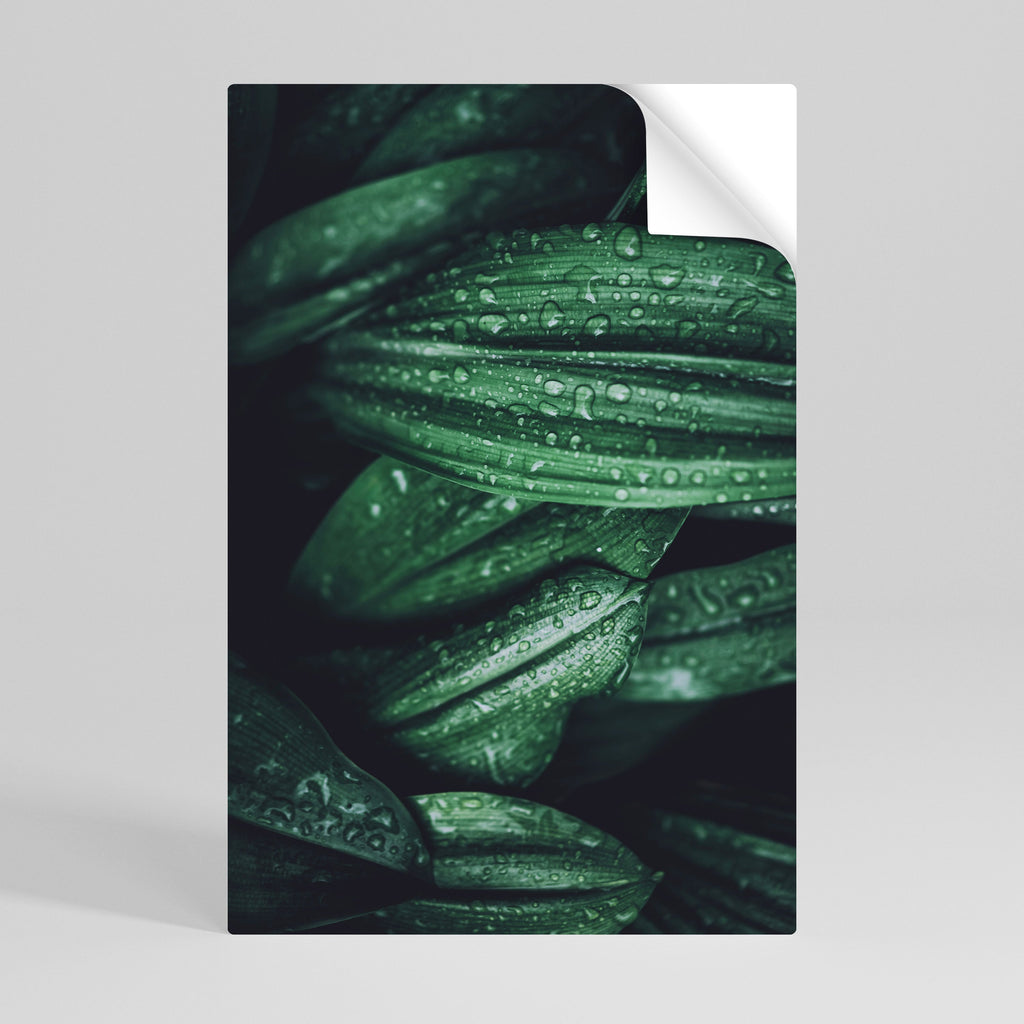 Affiche verticale autocollante « LUSH DROPLET DANCE »