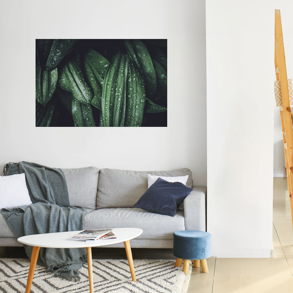 Affiche horizontale autocollante « LUSH DROPLET DANCE »