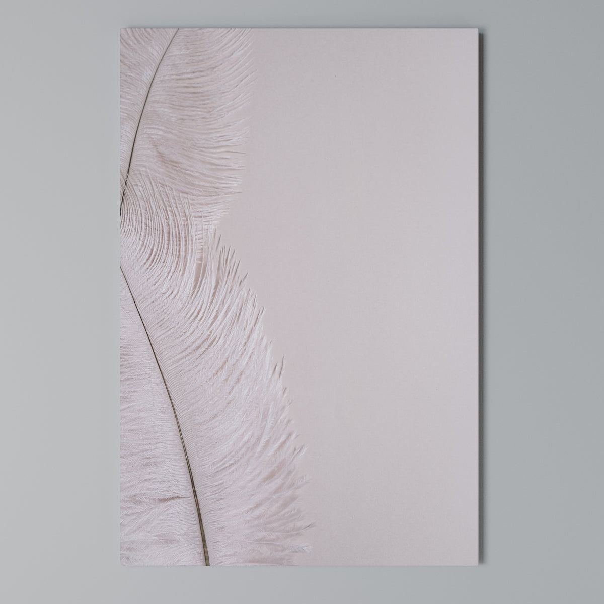 WHISPERING PINK FEATHERS Vertical Canvas Print