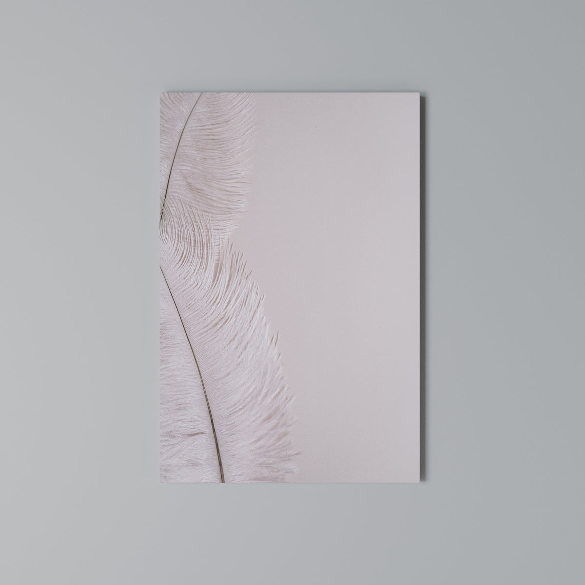 WHISPERING PINK FEATHERS Vertical Canvas Print