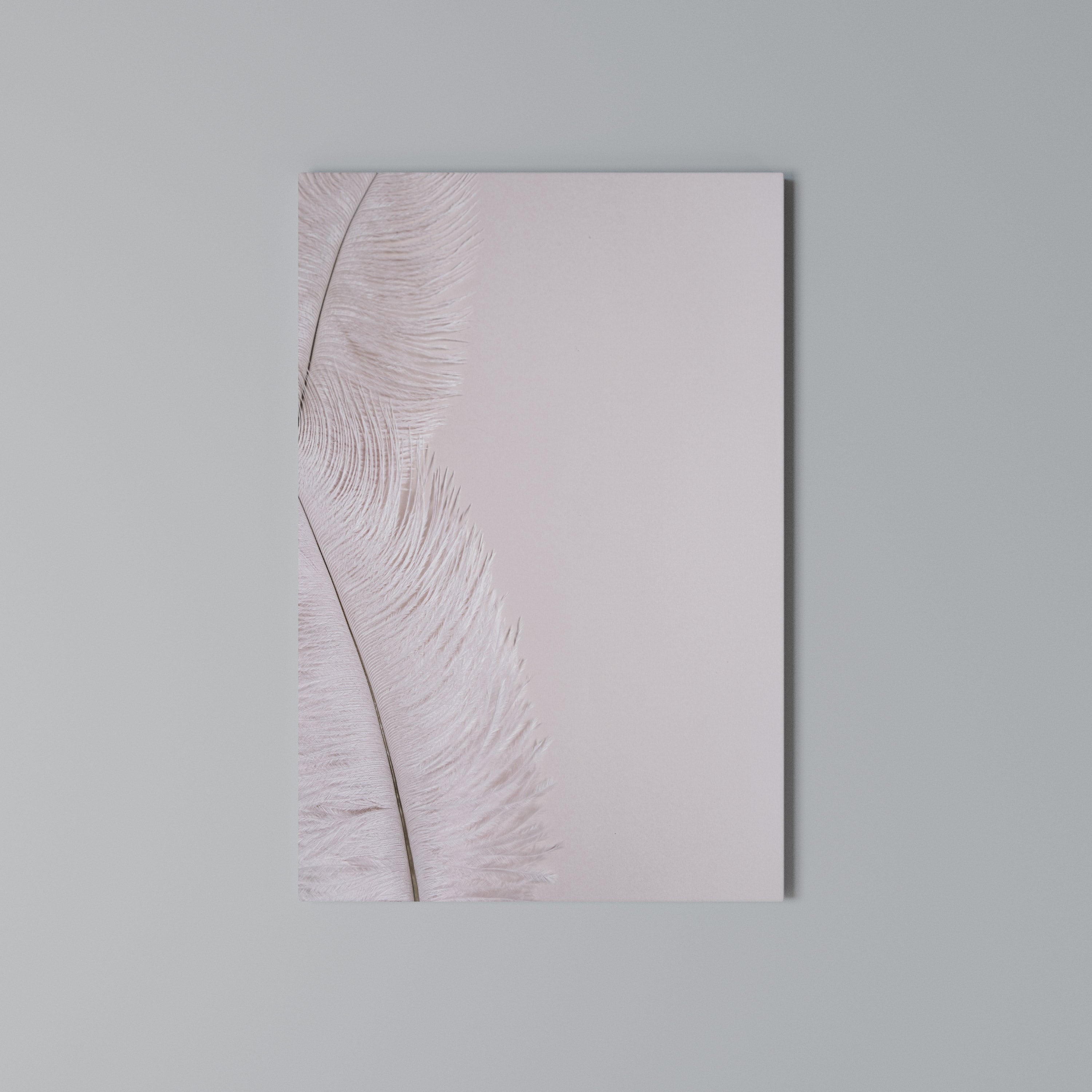 WHISPERING PINK FEATHERS Vertical Canvas Print