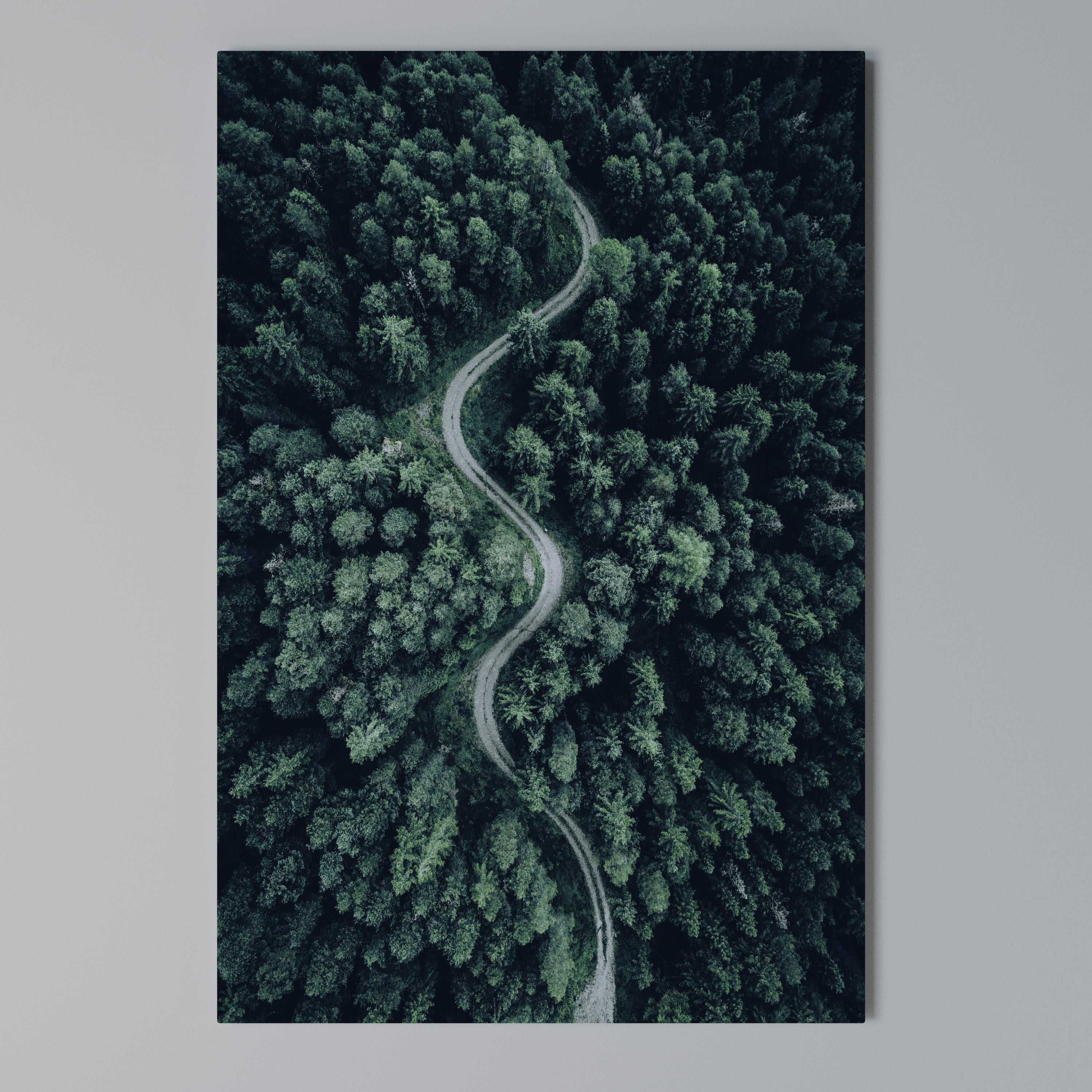 FORESTED SERPENTINE ROUTE Vertical Canvas Print