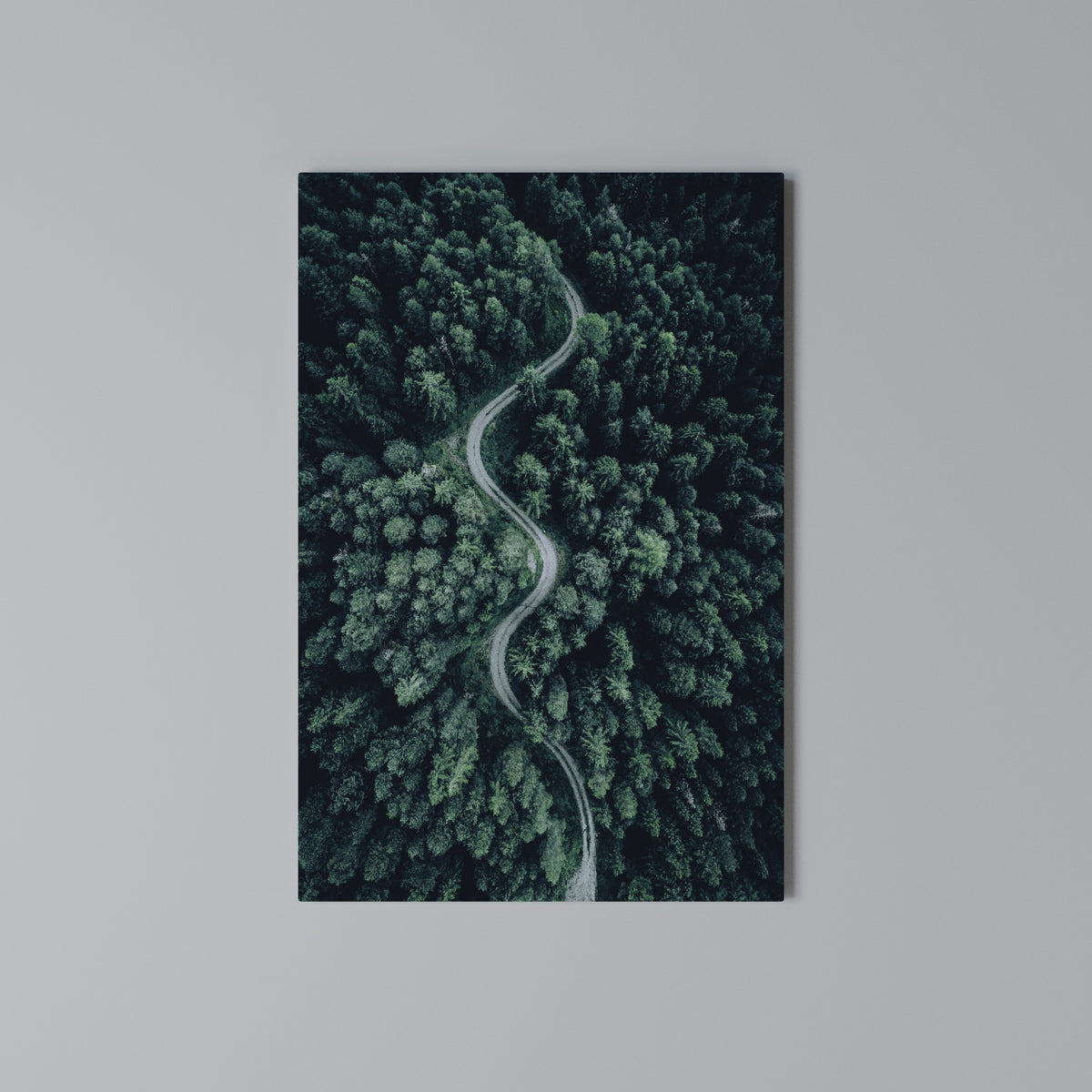 FORESTED SERPENTINE ROUTE Vertical Canvas Print