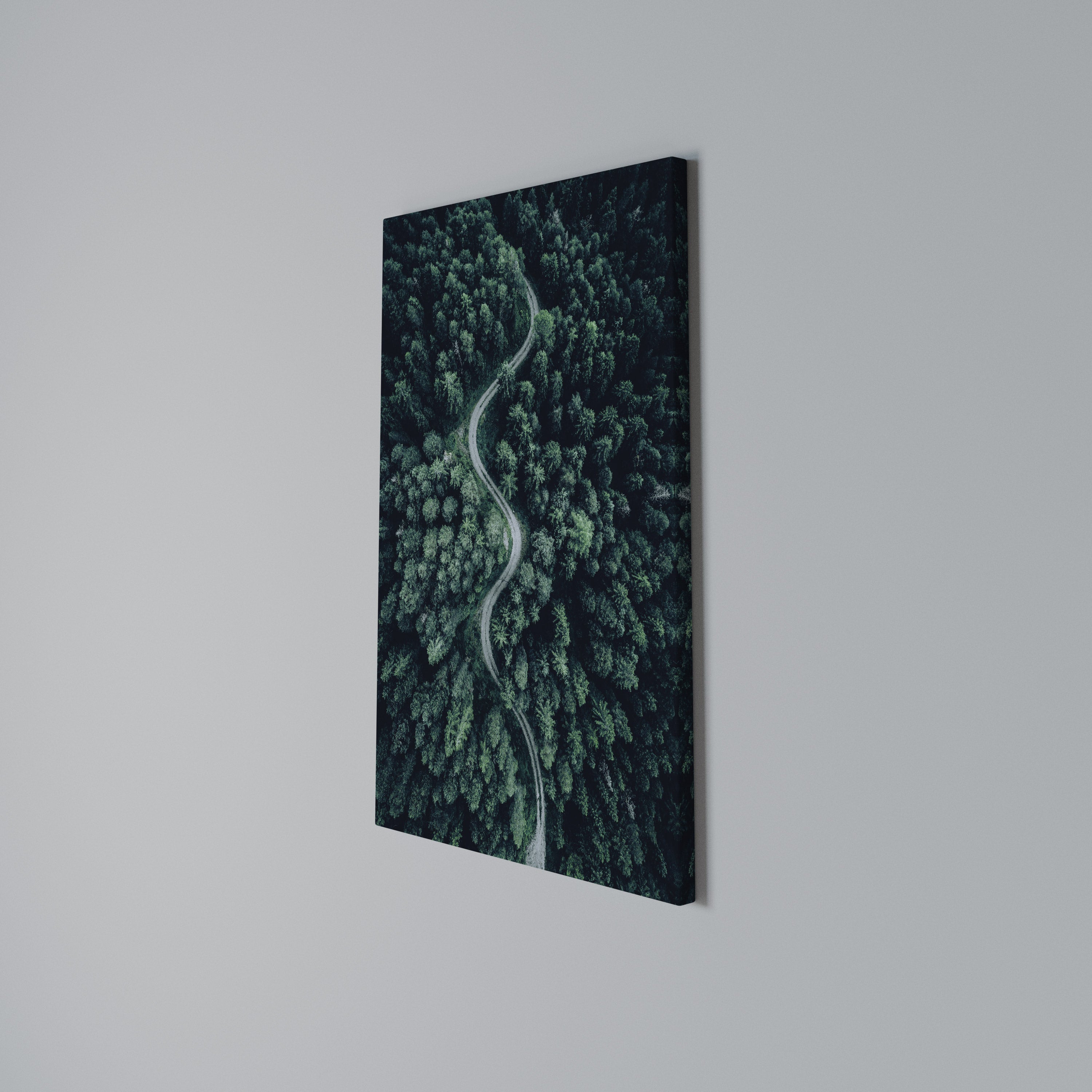 FORESTED SERPENTINE ROUTE Vertical Canvas Print