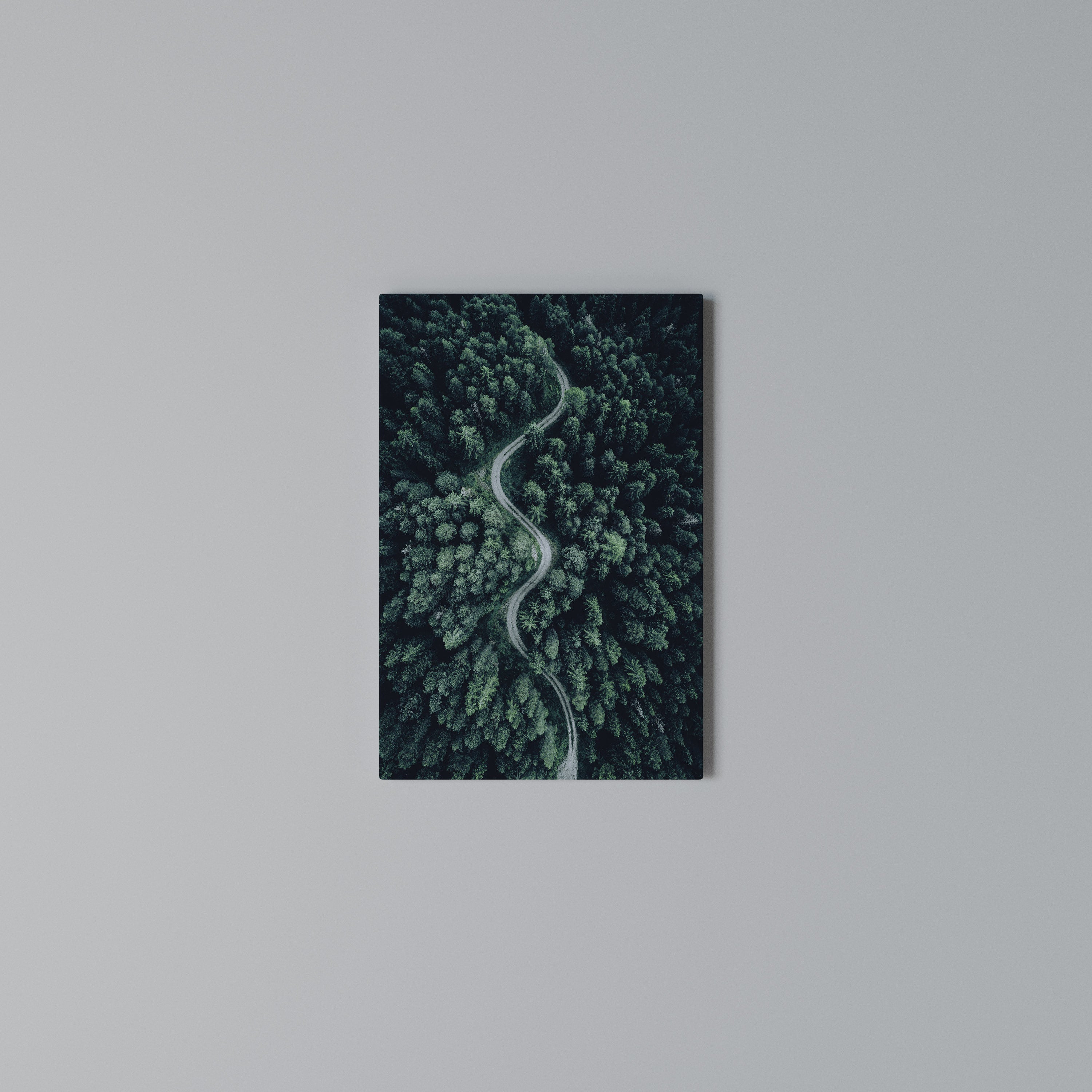 FORESTED SERPENTINE ROUTE Vertical Canvas Print
