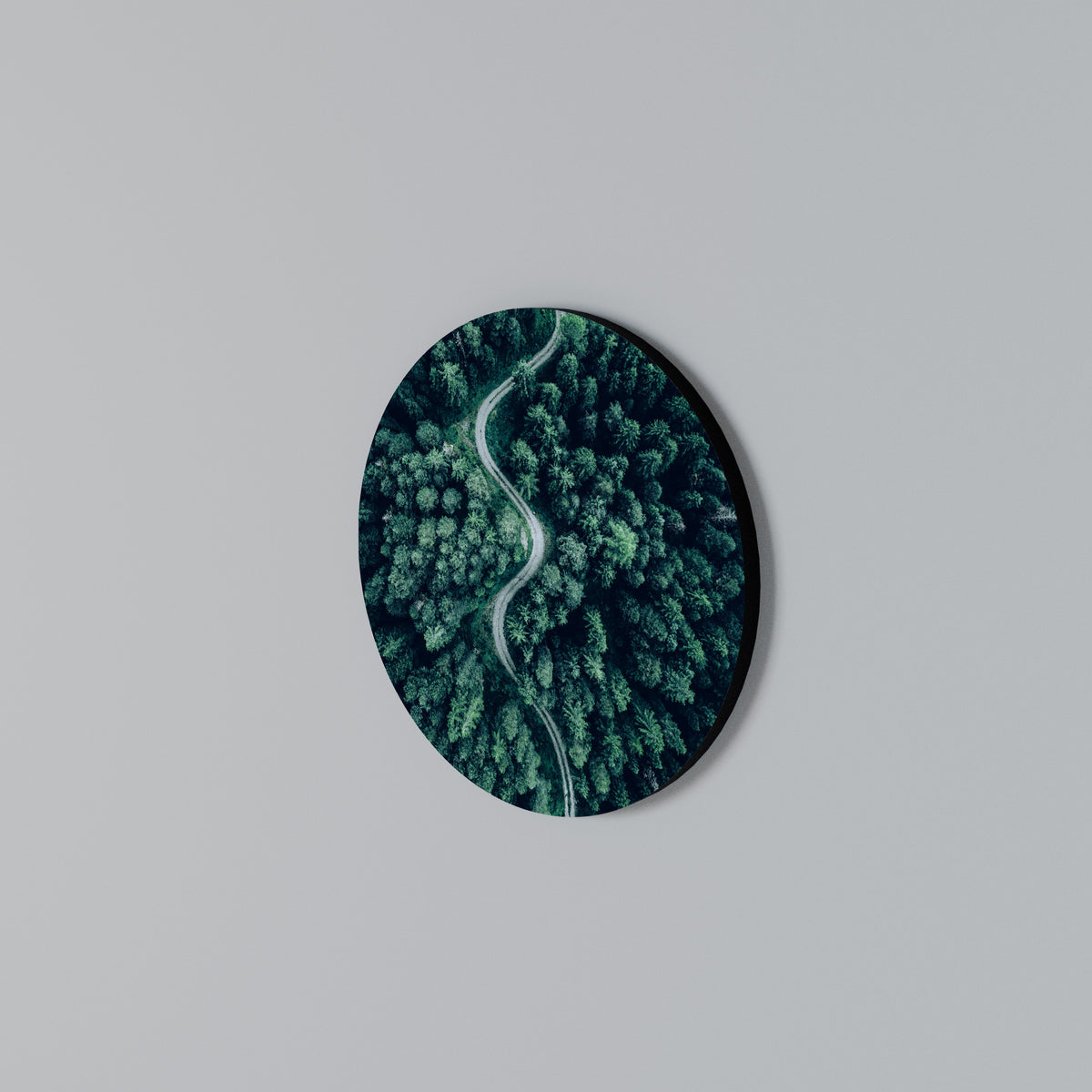 FORESTED SERPENTINE ROUTE Round Wall Art