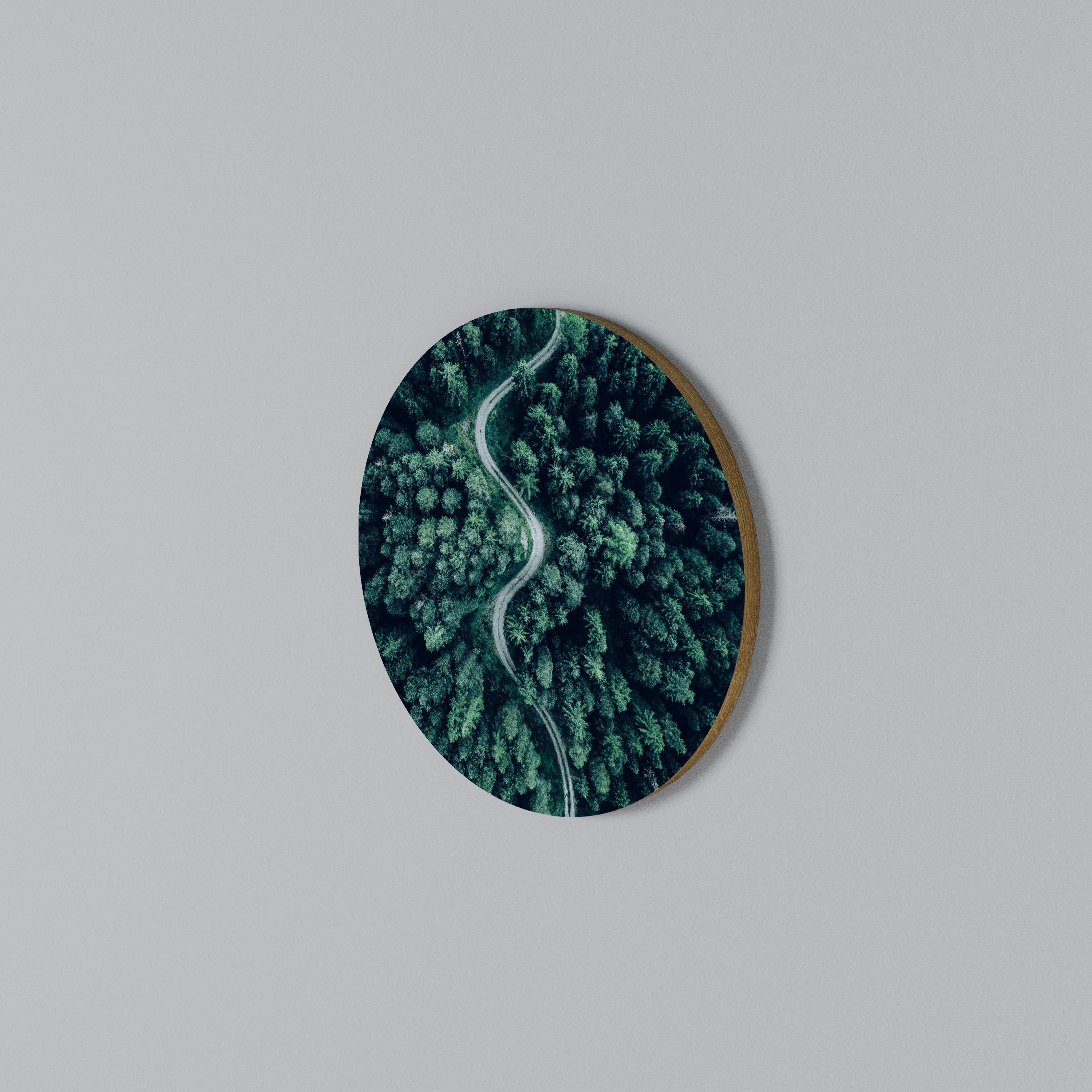FORESTED SERPENTINE ROUTE Round Wall Art