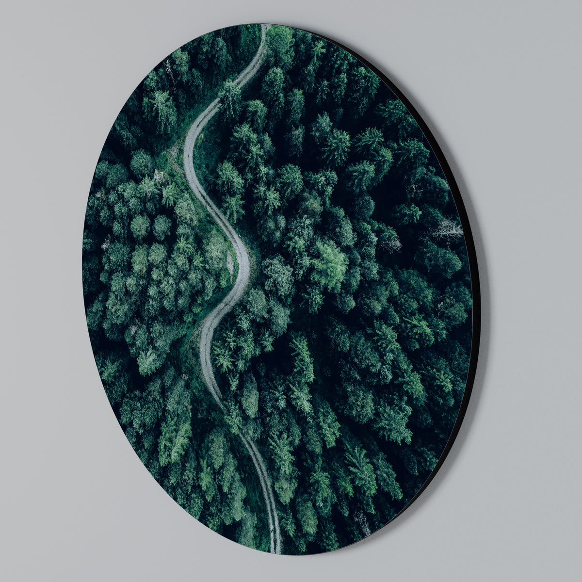 FORESTED SERPENTINE ROUTE Round Wall Art