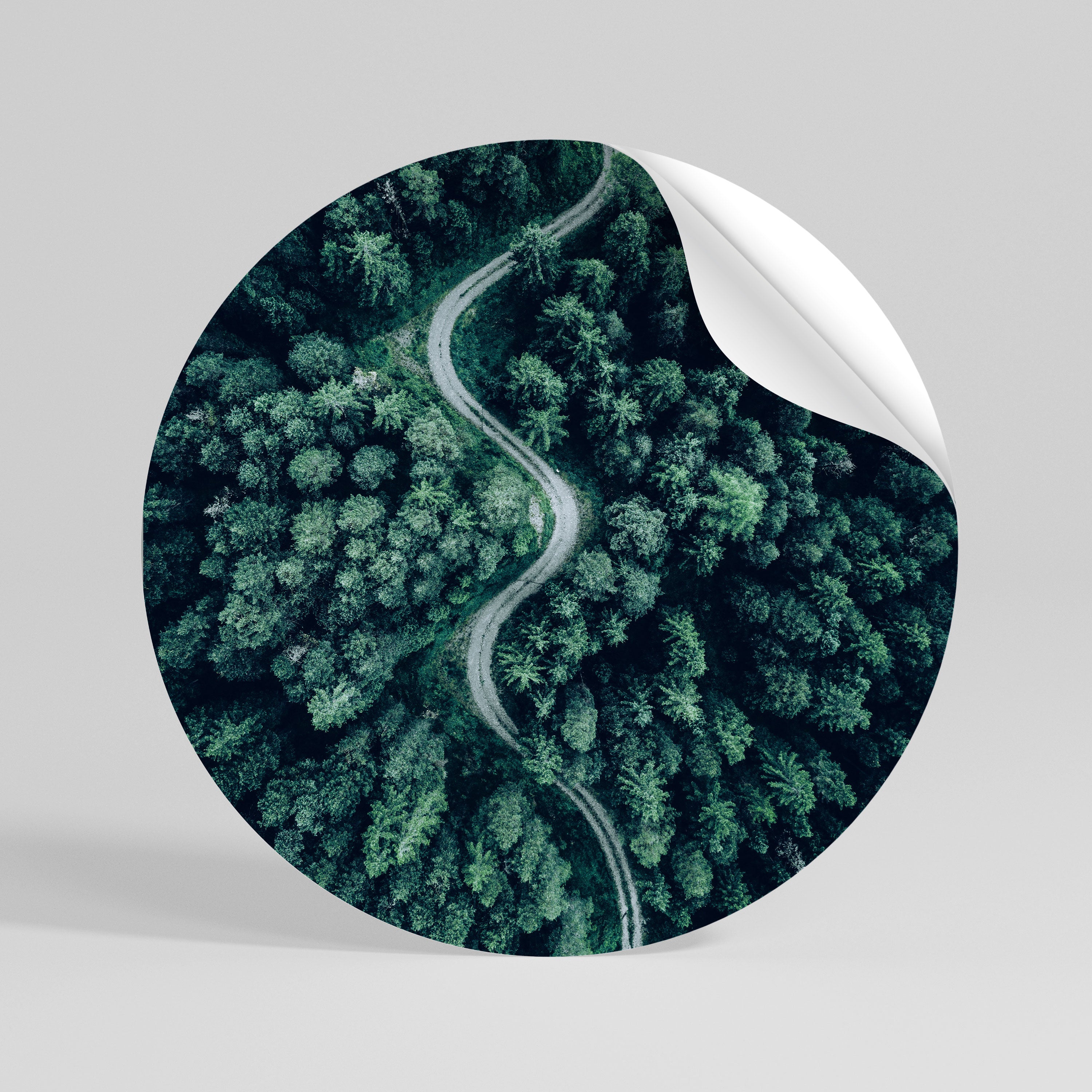 FORESTED SERPENTINE ROUTE Peel and Stick Round Sticker