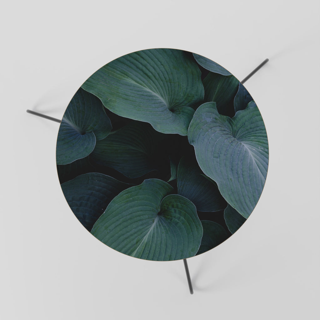 Table basse ENCHANTED FOLIAGE DANCE 60