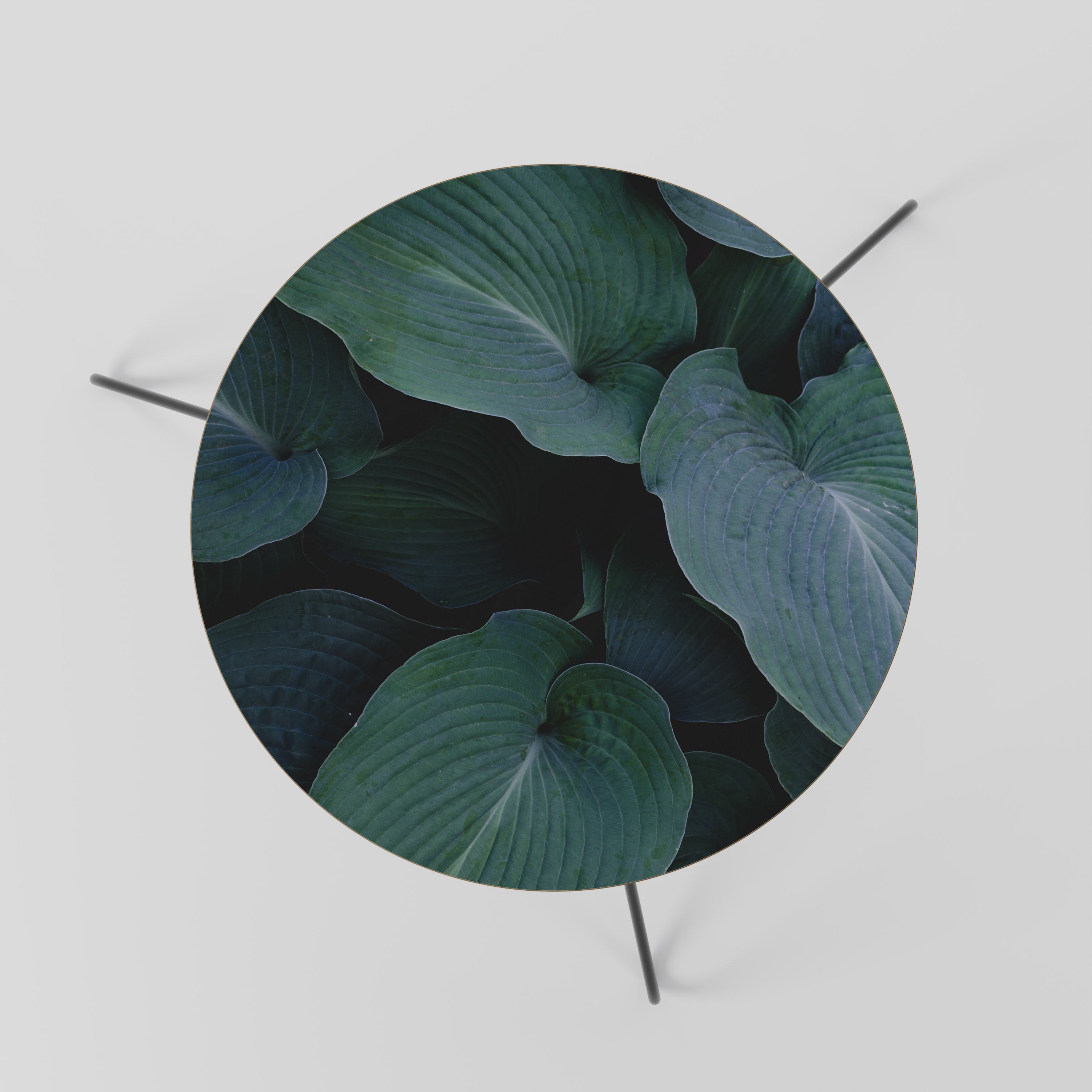 Table basse ENCHANTED FOLIAGE DANCE 60