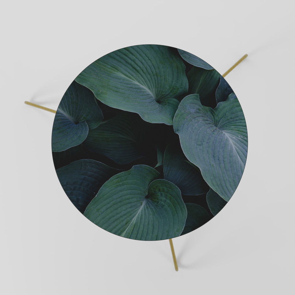 Table basse ENCHANTED FOLIAGE DANCE 60