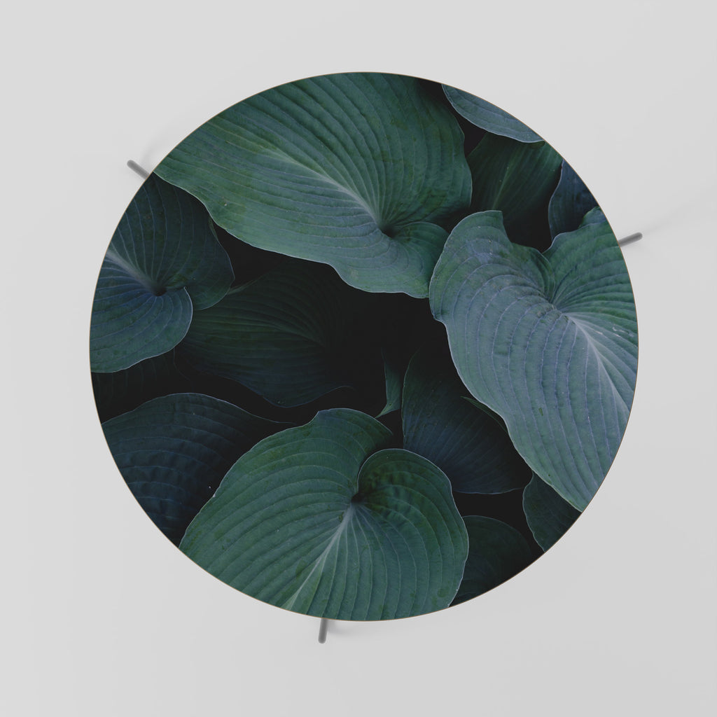 Table basse ENCHANTED FOLIAGE DANCE 69