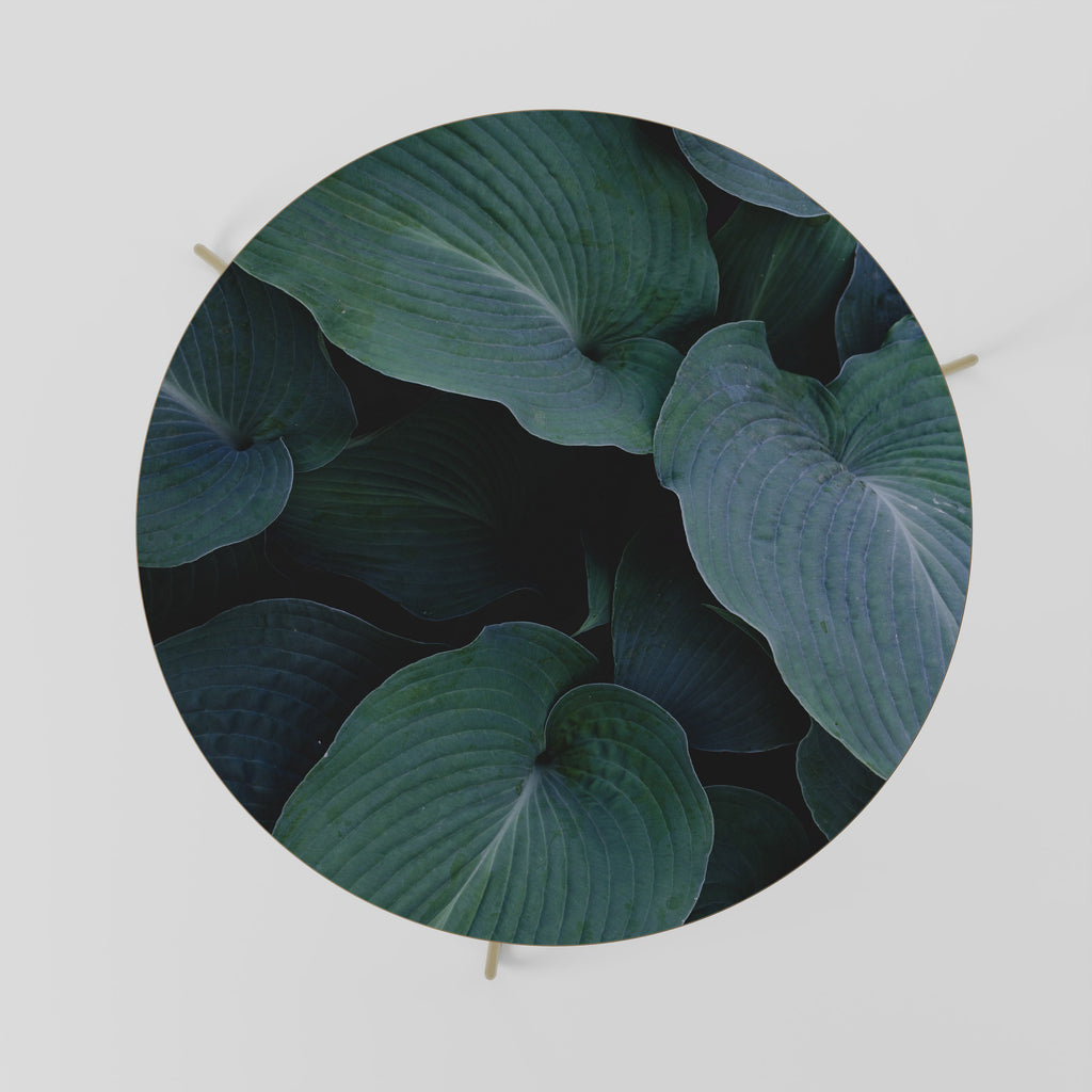 Table basse ENCHANTED FOLIAGE DANCE 69