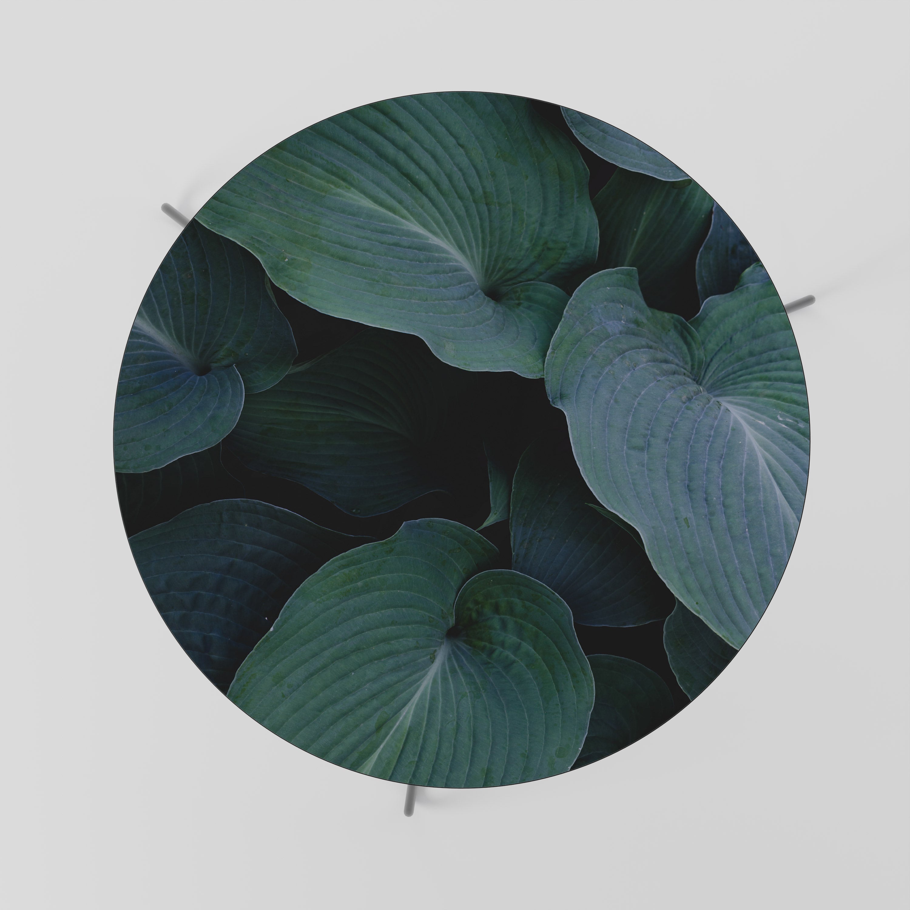 Table basse ENCHANTED FOLIAGE DANCE 69