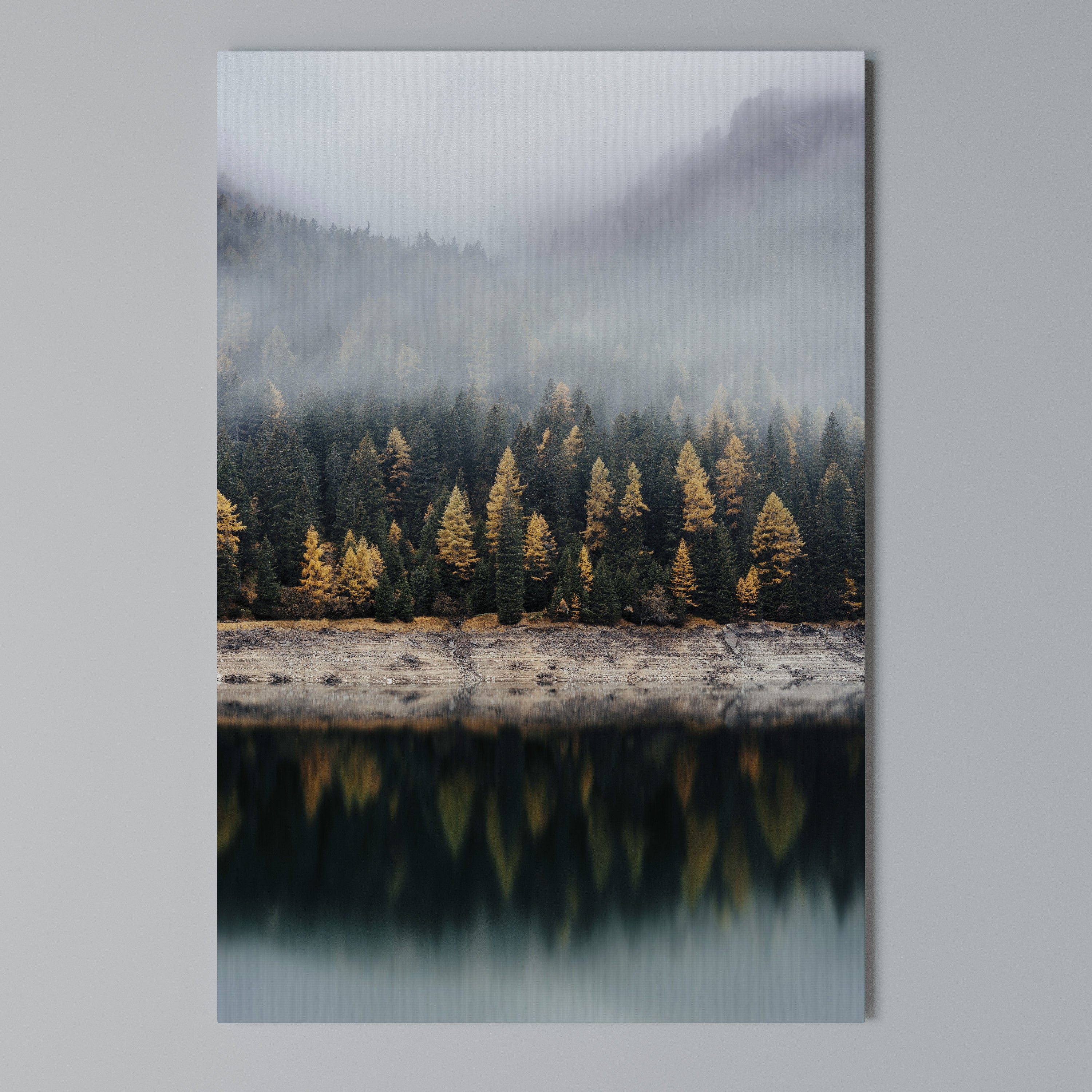 GOLDEN TREES IN FOG Vertical Canvas Print