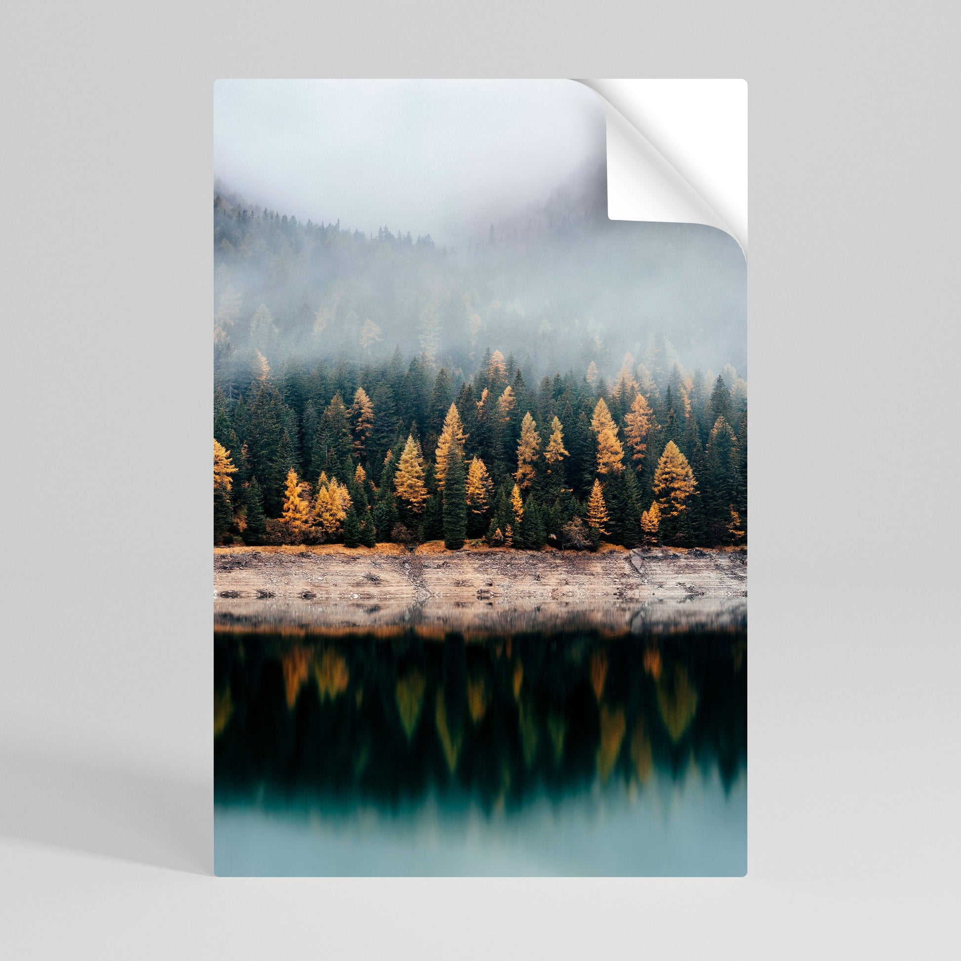 Affiche verticale autocollante « ARBRES DORÉS DANS LE BROUILLARD »