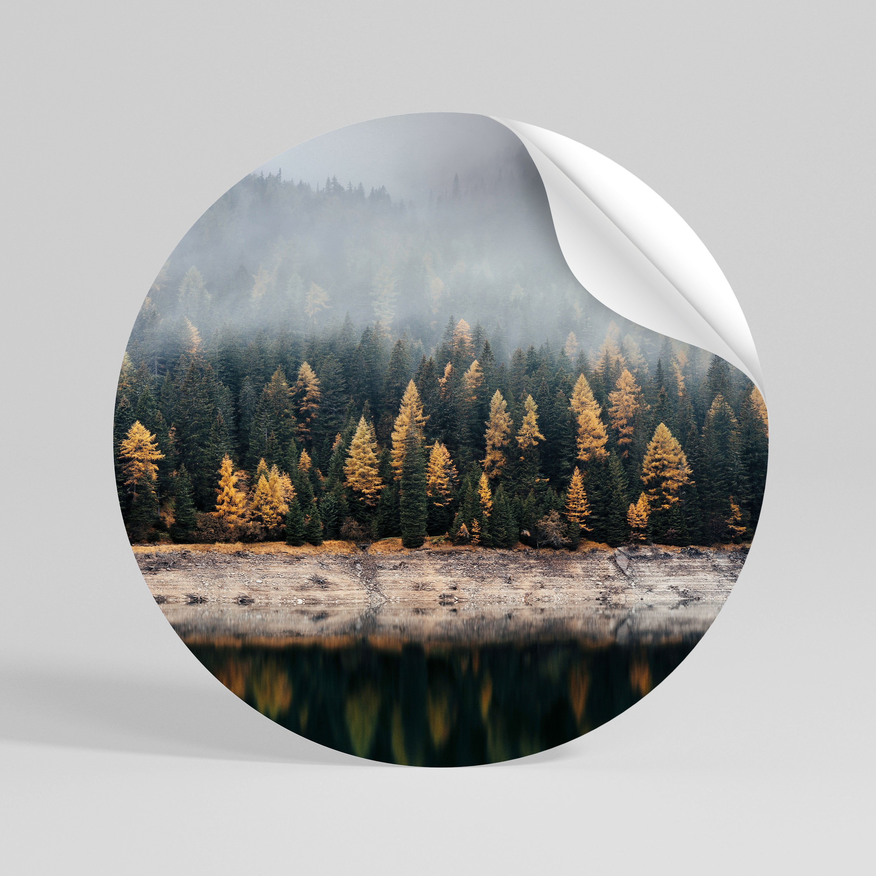 GOLDEN TREES IN FOG Peel and Stick Round Sticker