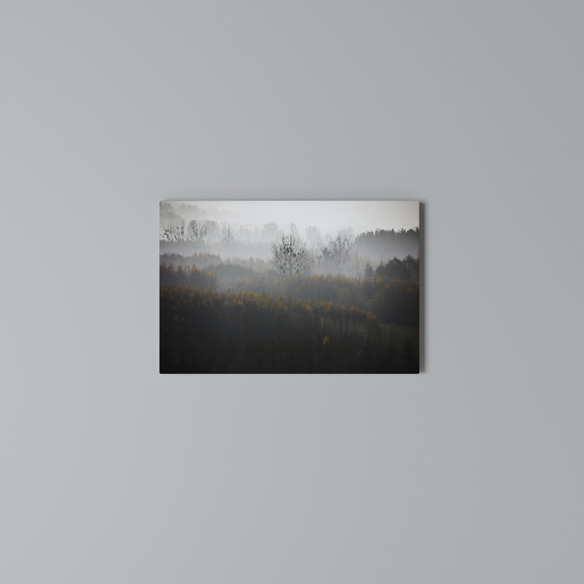 AUTUMNAL HAZE Horizontal Canvas Print