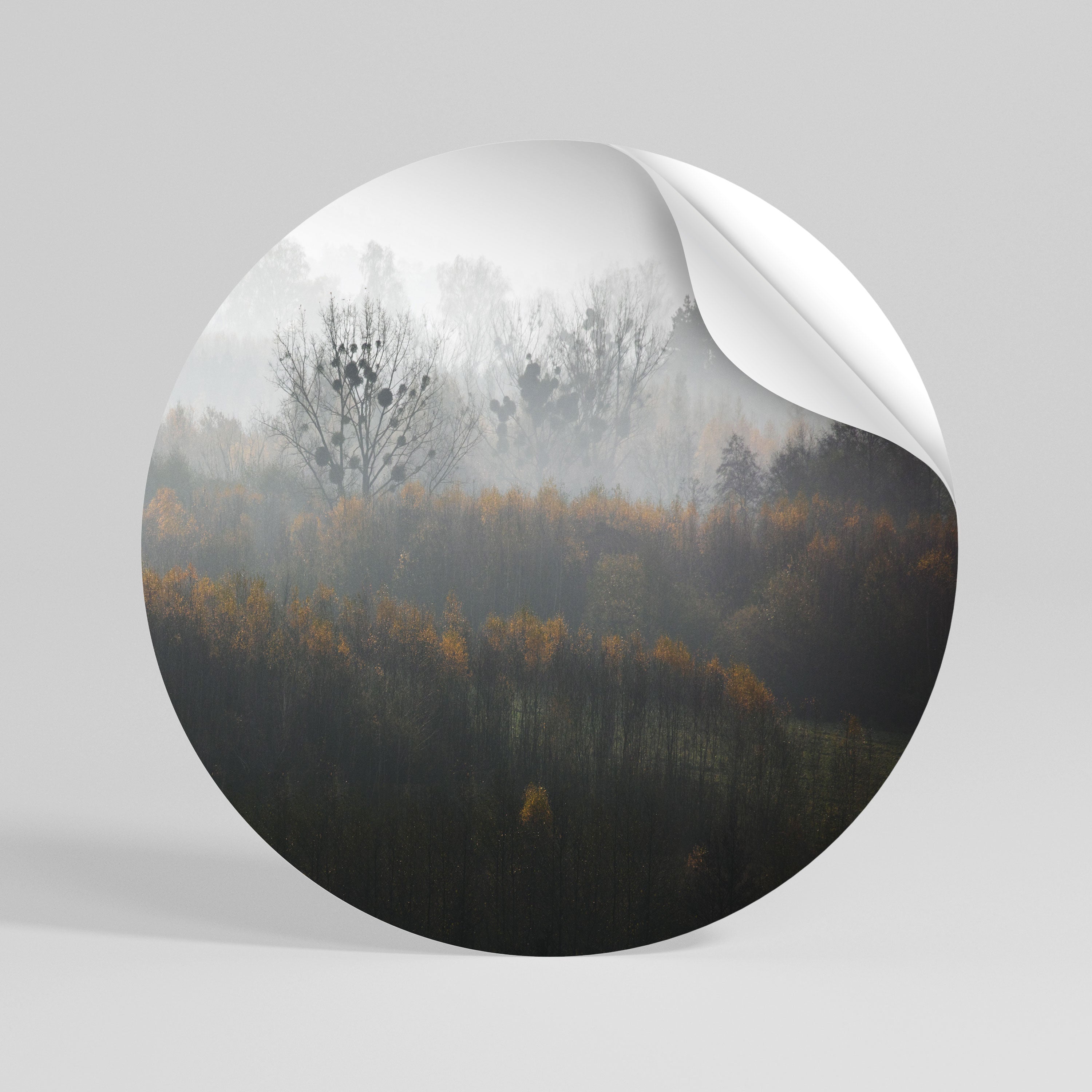 AUTUMNAL HAZE Peel and Stick Round Sticker