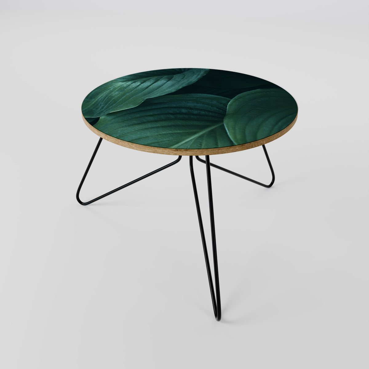 SUBTLE BOTANICAL HUES Coffee Table