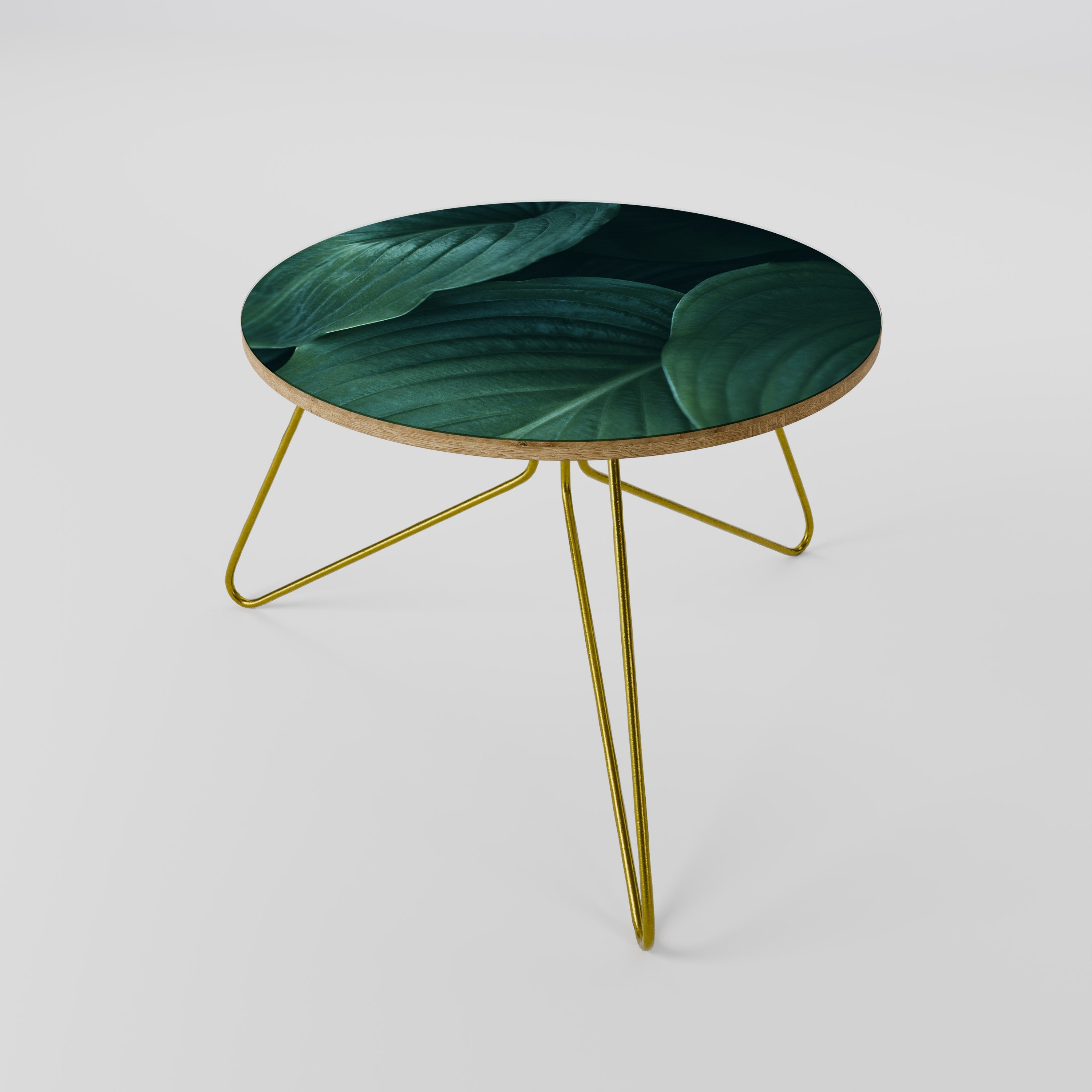 Table basse SUBTILE BOTANICAL HUES 60