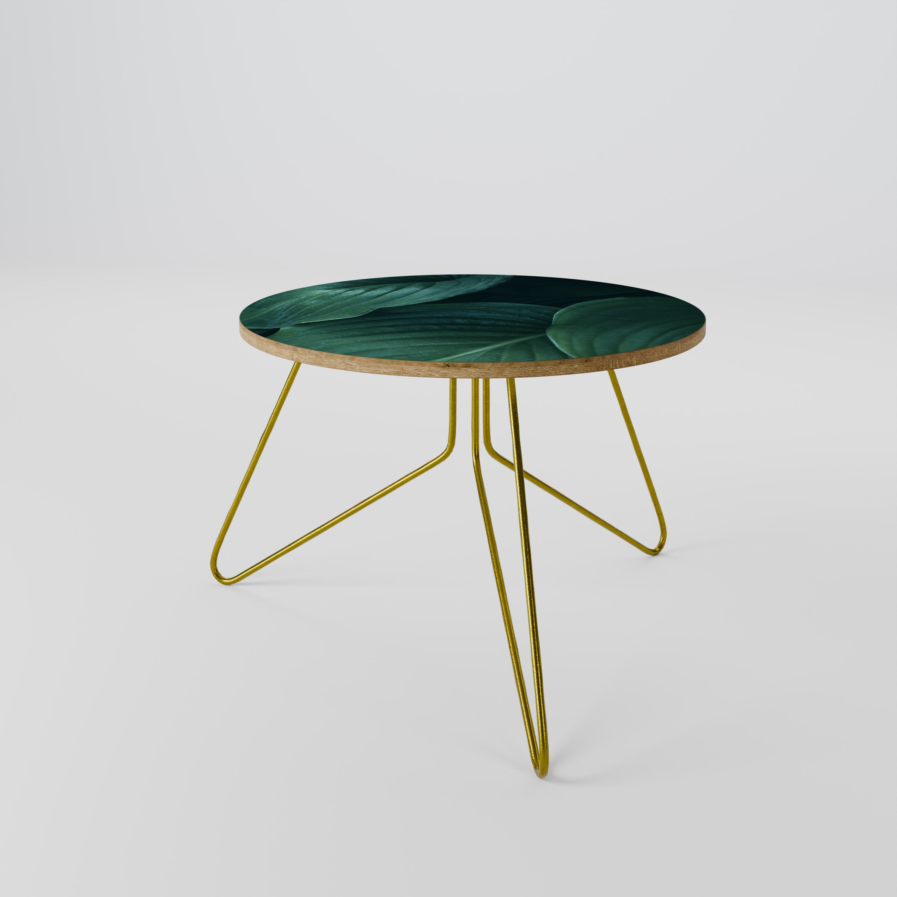 SUBTLE BOTANICAL HUES Coffee Table