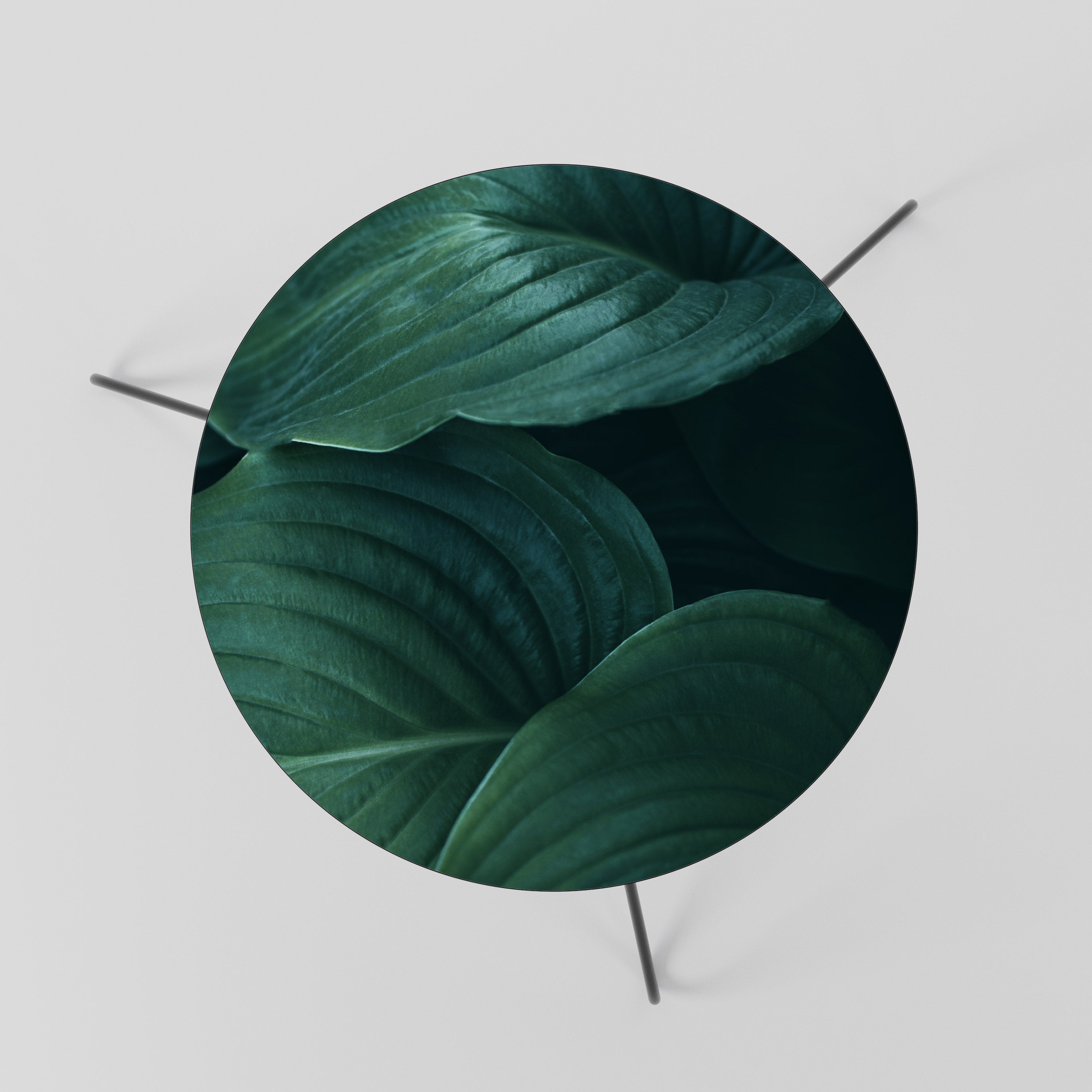 Table basse SUBTILE BOTANICAL HUES 60