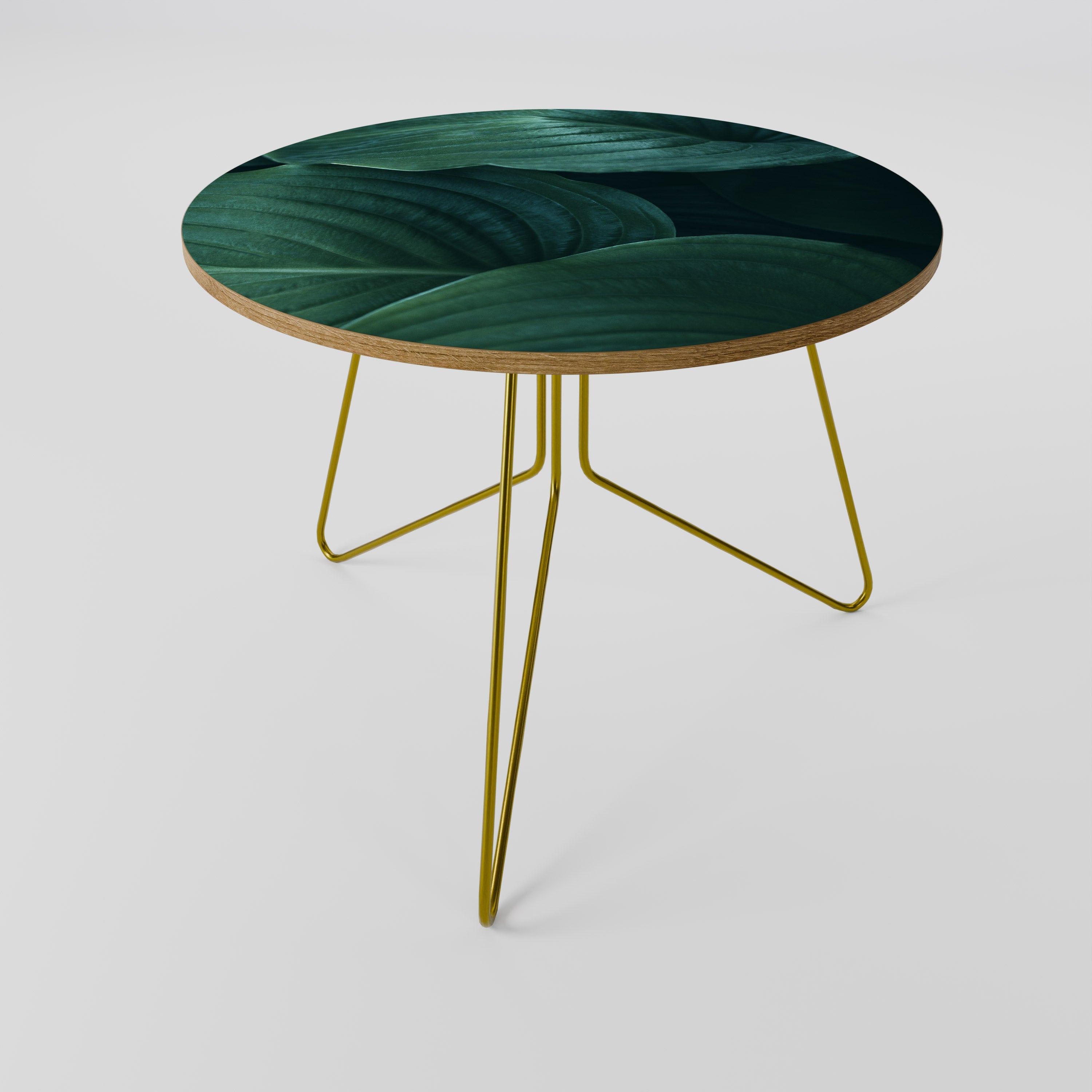 Table basse SUBTILE BOTANICAL HUES 69