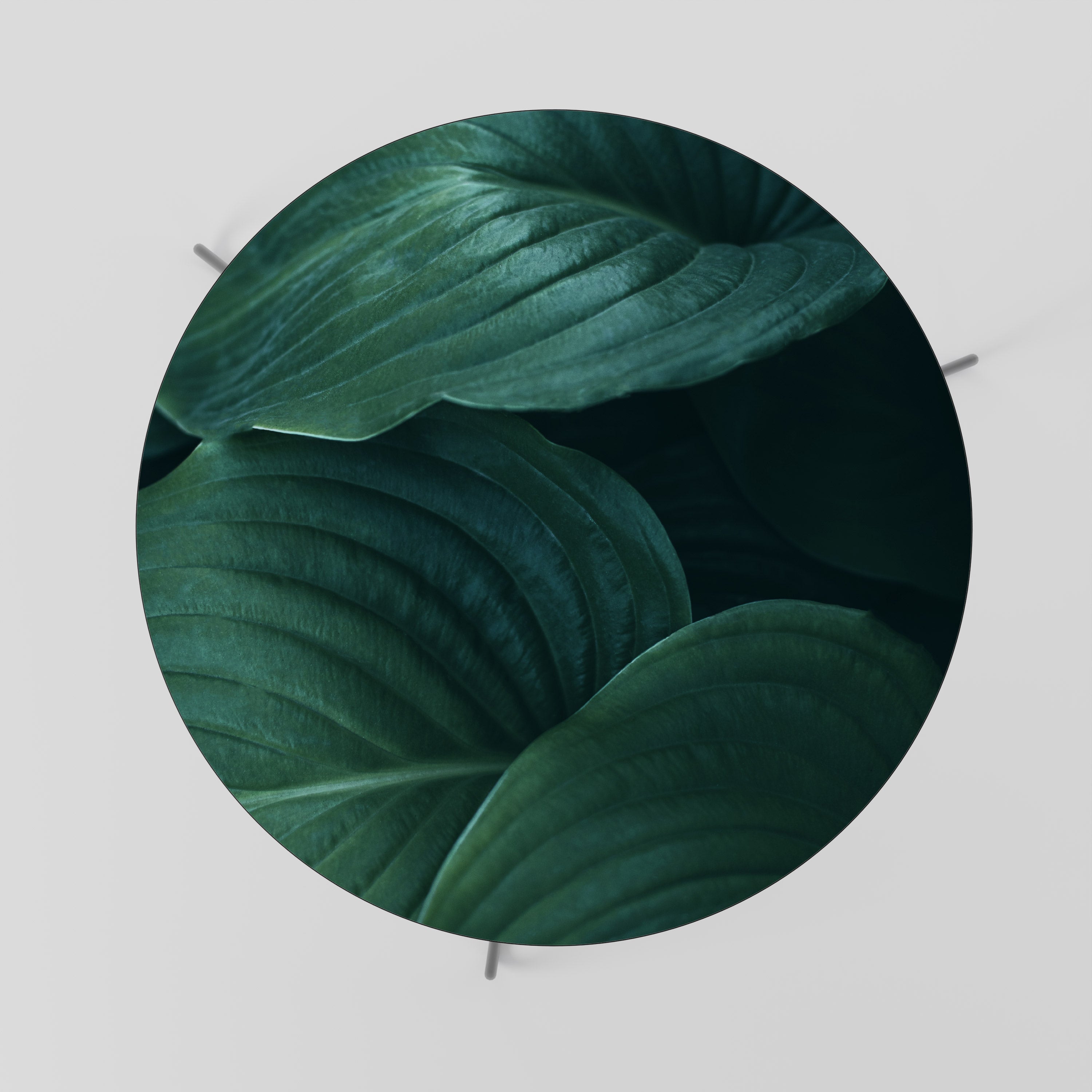 Table basse SUBTILE BOTANICAL HUES 69