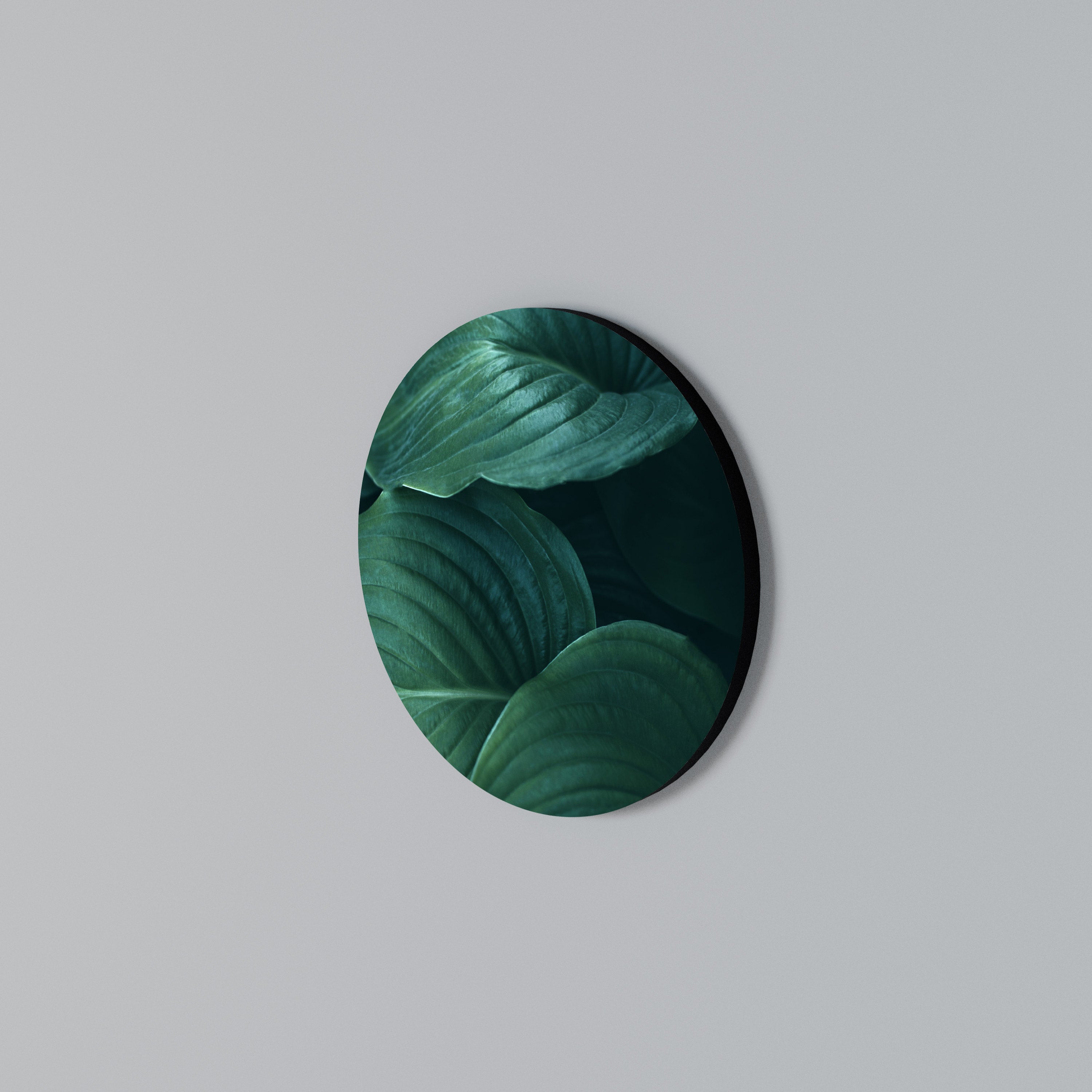 SUBTLE BOTANICAL HUES Round Wall Art