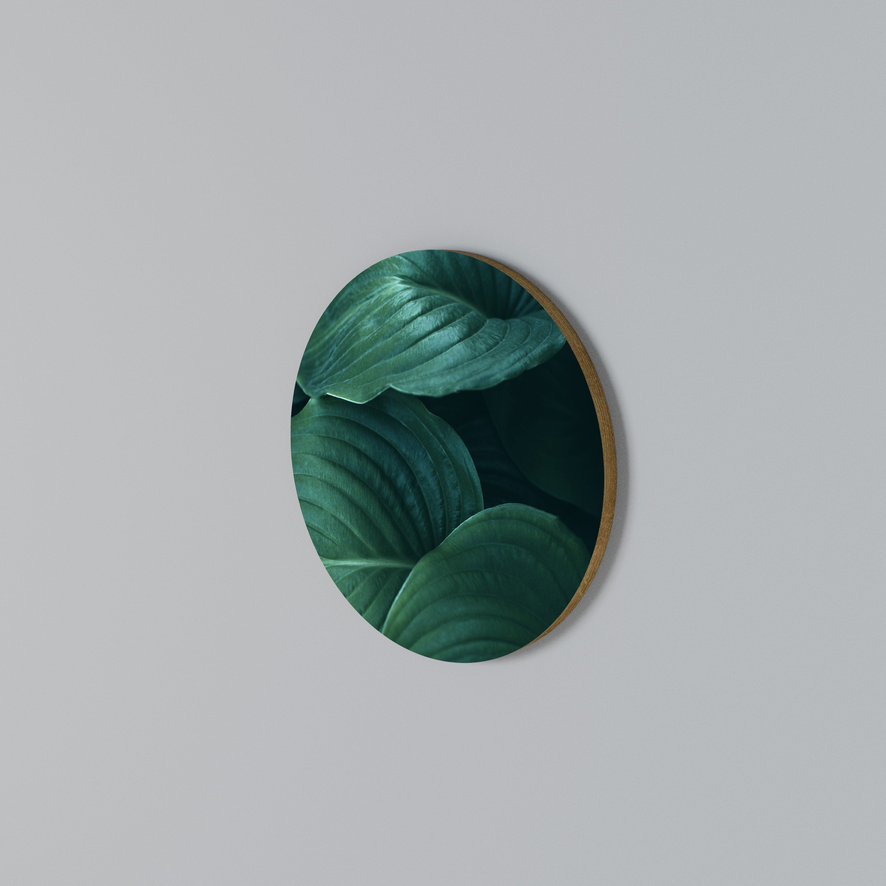 SUBTLE BOTANICAL HUES Round Wall Art
