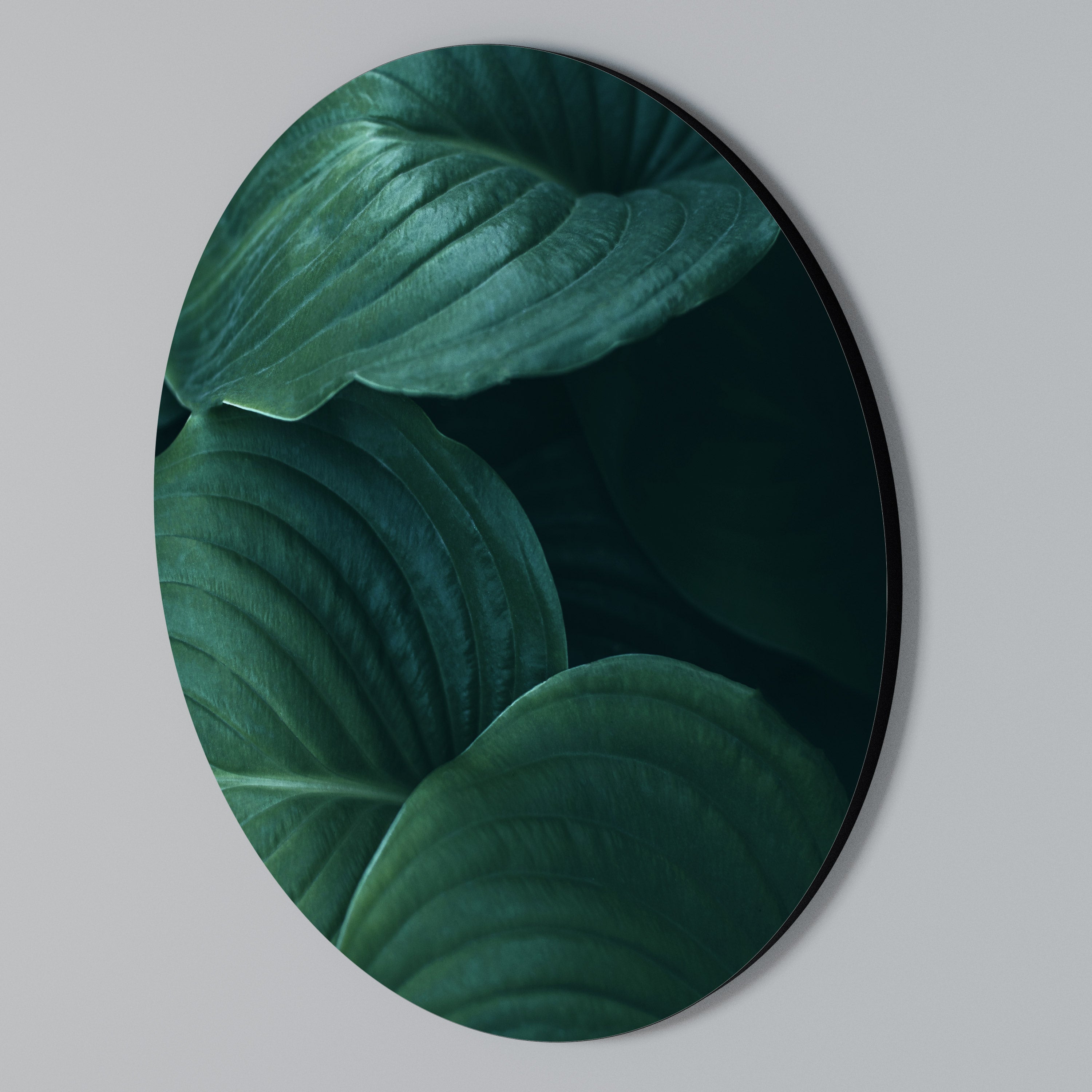 SUBTLE BOTANICAL HUES Round Wall Art