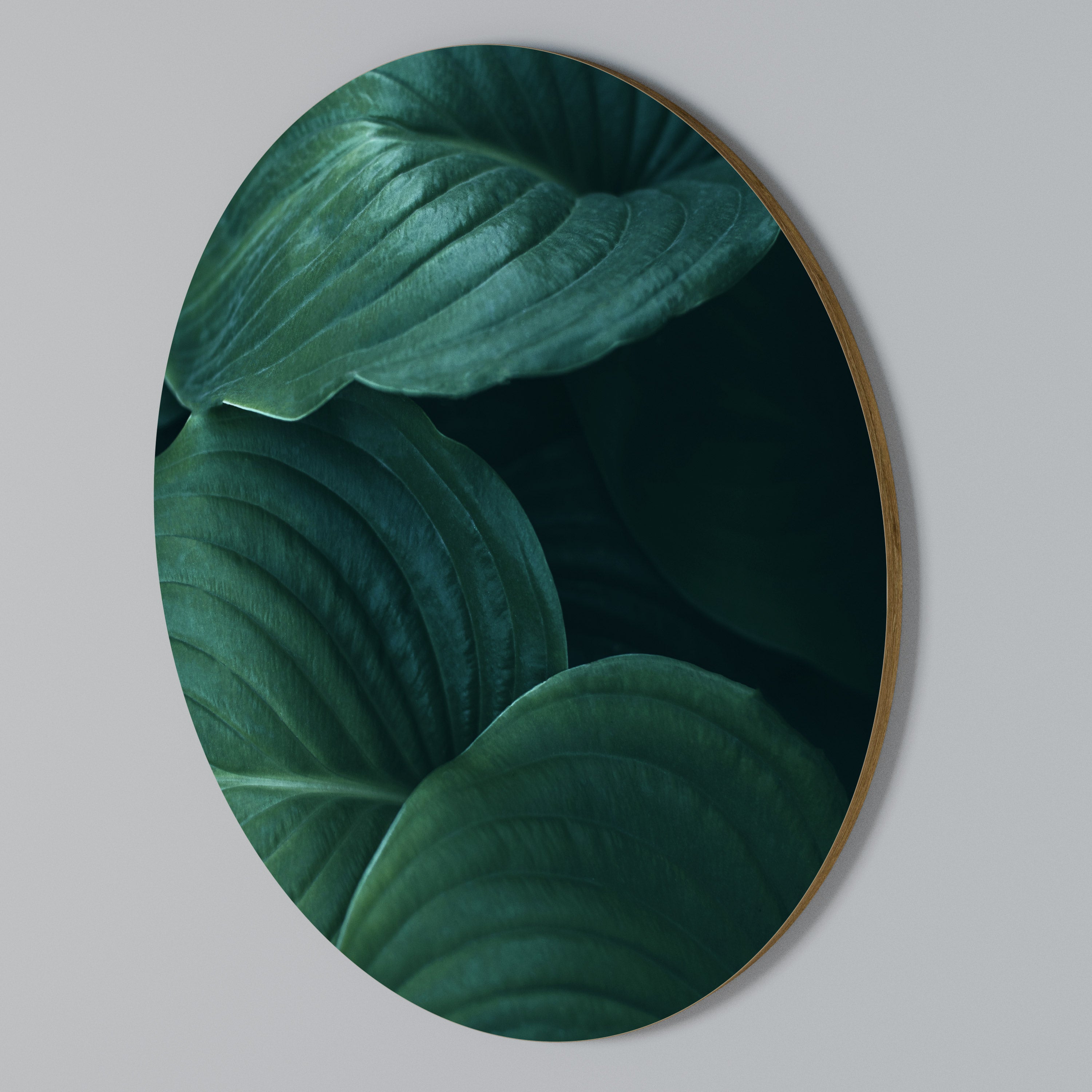 SUBTLE BOTANICAL HUES Round Wall Art