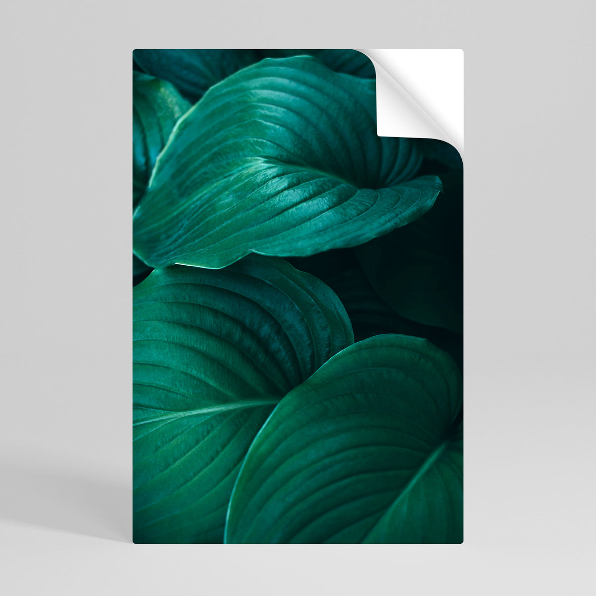 SUBTLE BOTANICAL HUES Peel and Stick Vertical Poster