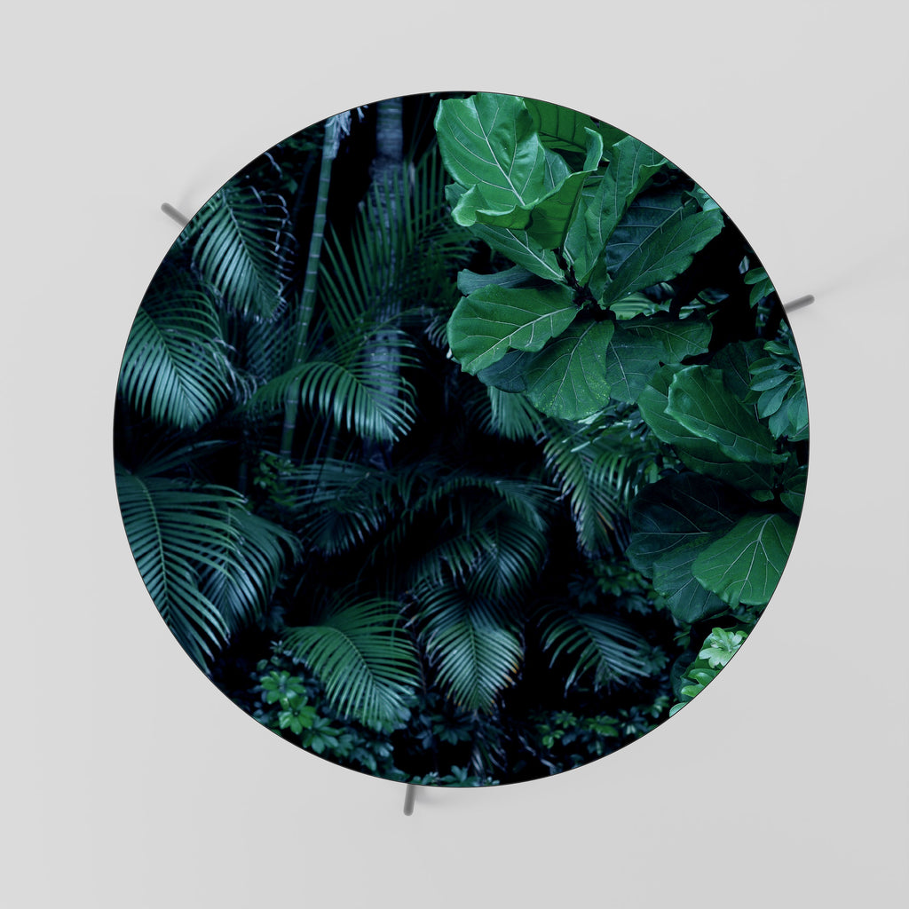 Table basse DEEP JUNGLE SERENADE 69