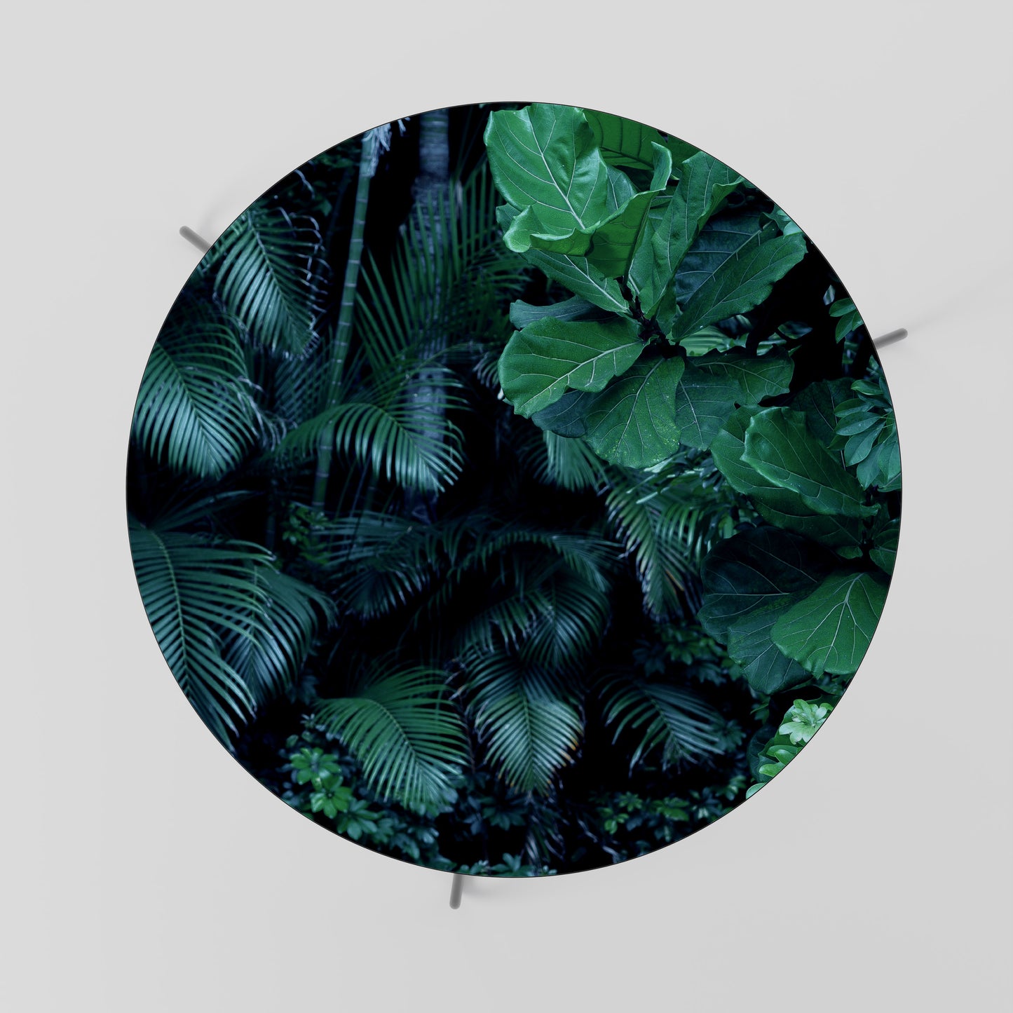 DEEP JUNGLE SERENADE Coffee Table