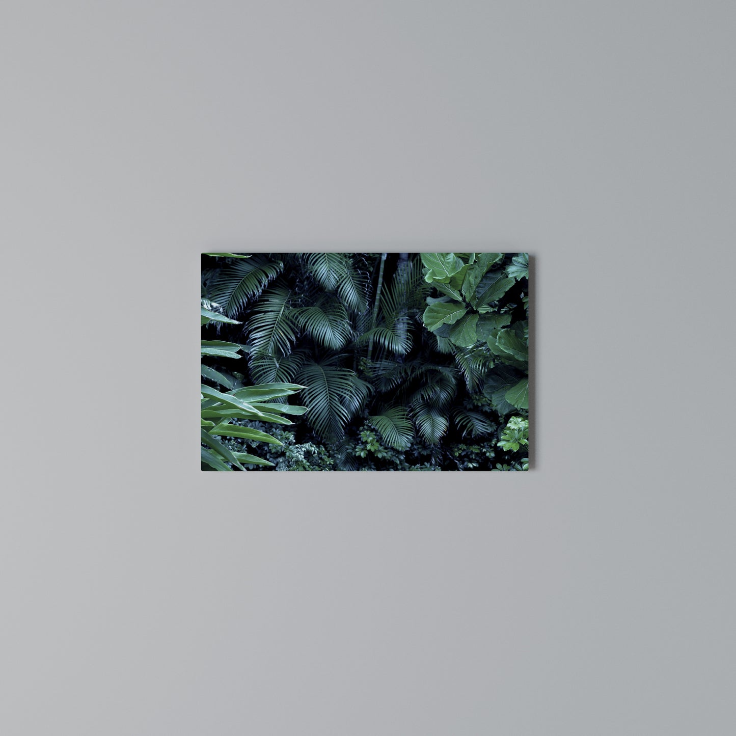 DEEP JUNGLE SERENADE Horizontal Canvas Print