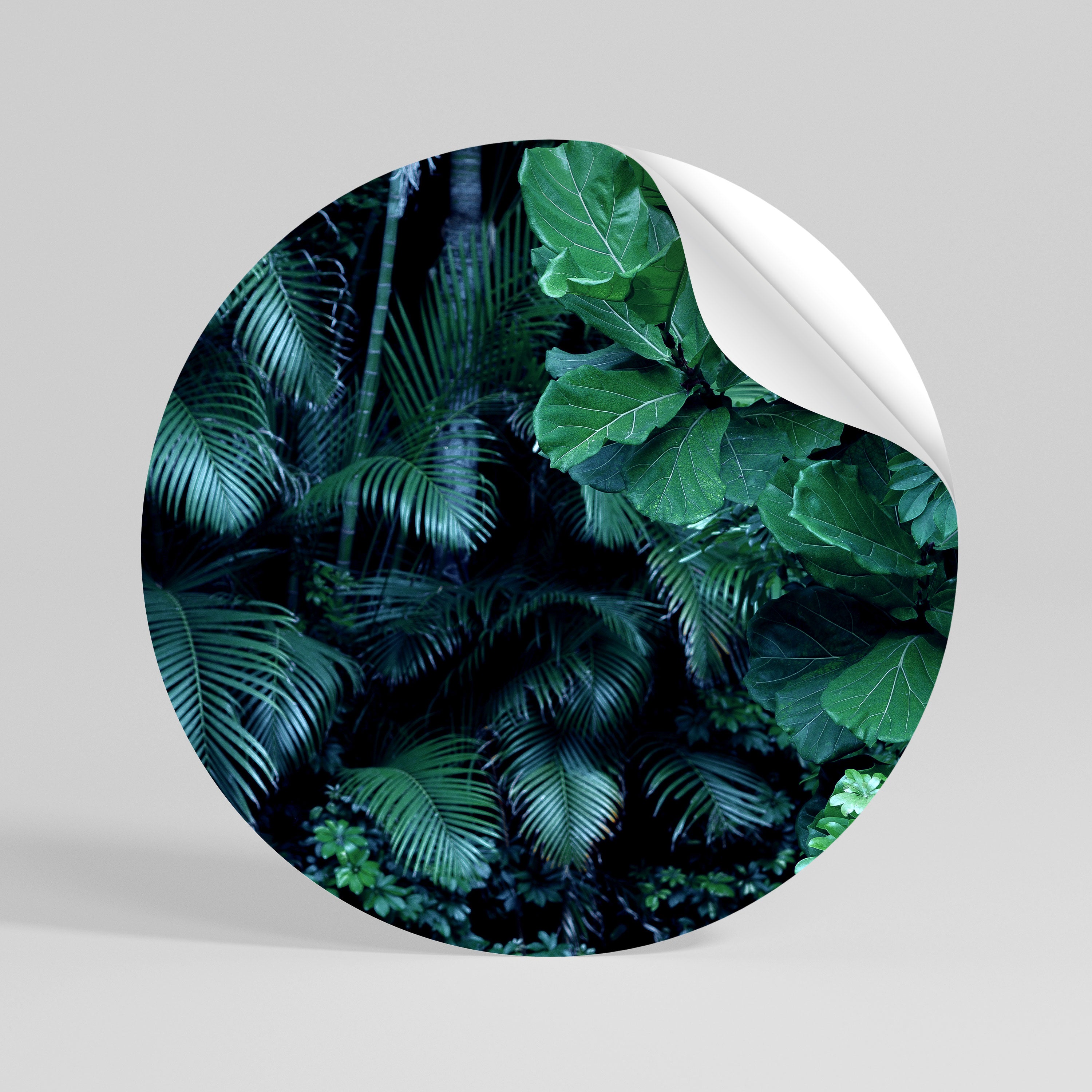 DEEP JUNGLE SERENADE Peel and Stick Round Sticker