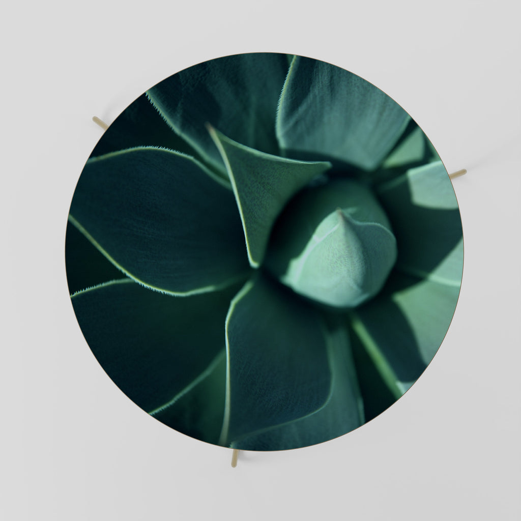 Table basse MYSTIQUE GREEN WHORL 69