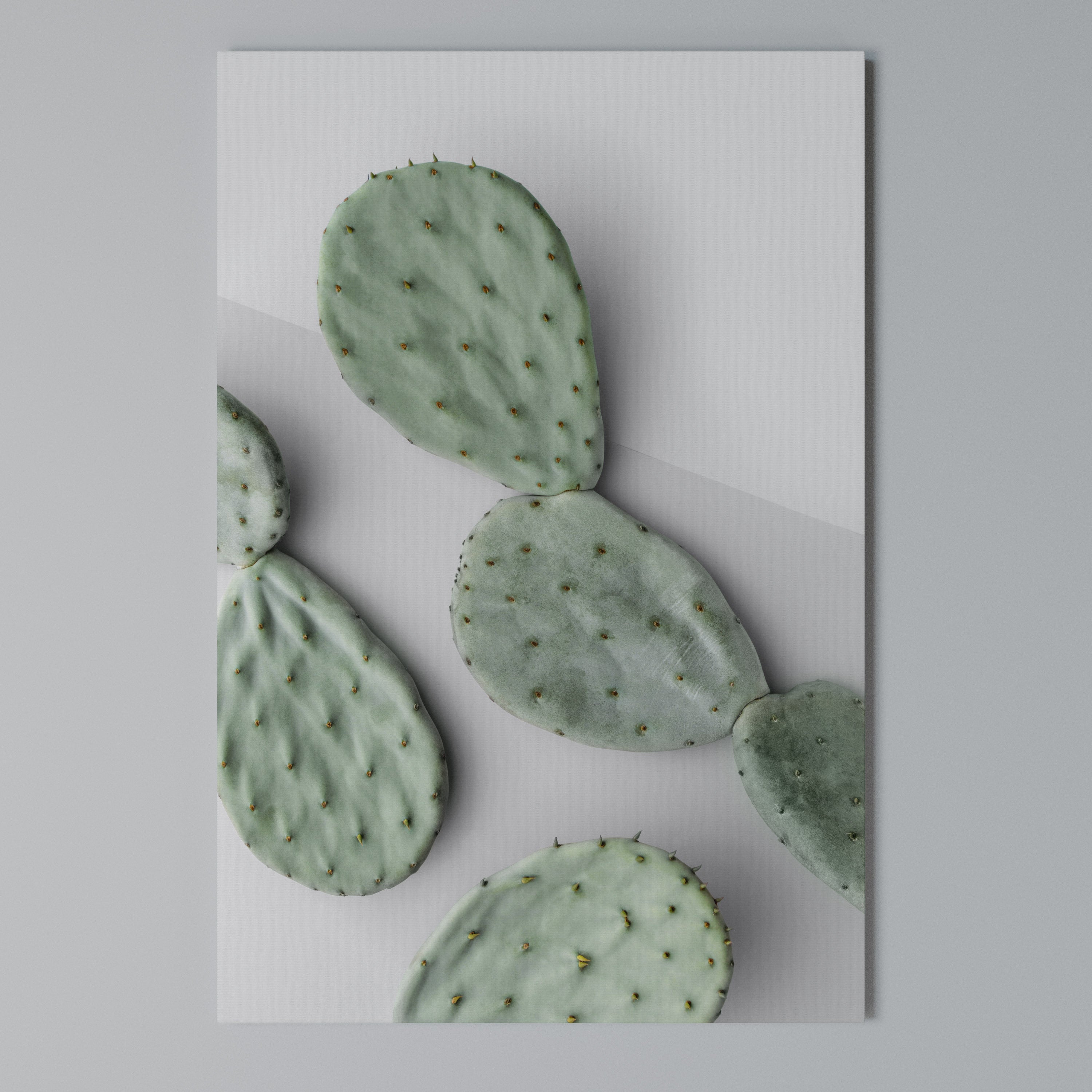 CACTUS DREAMSCAPE Vertical Canvas Print