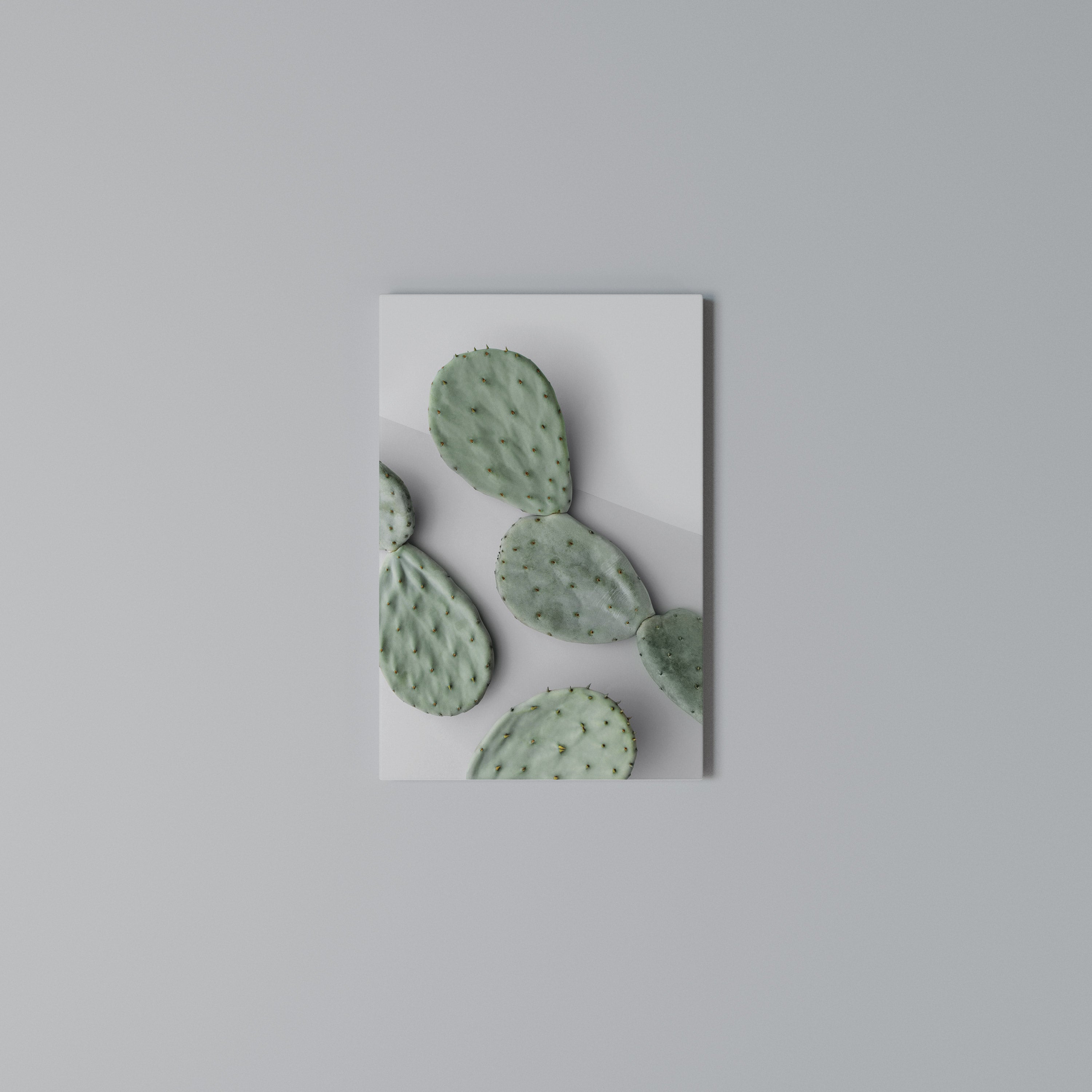 CACTUS DREAMSCAPE Vertical Canvas Print