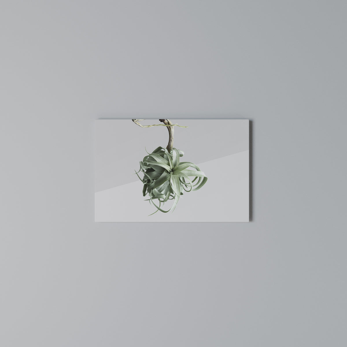TANGLE OF NATURE Horizontal Canvas Print