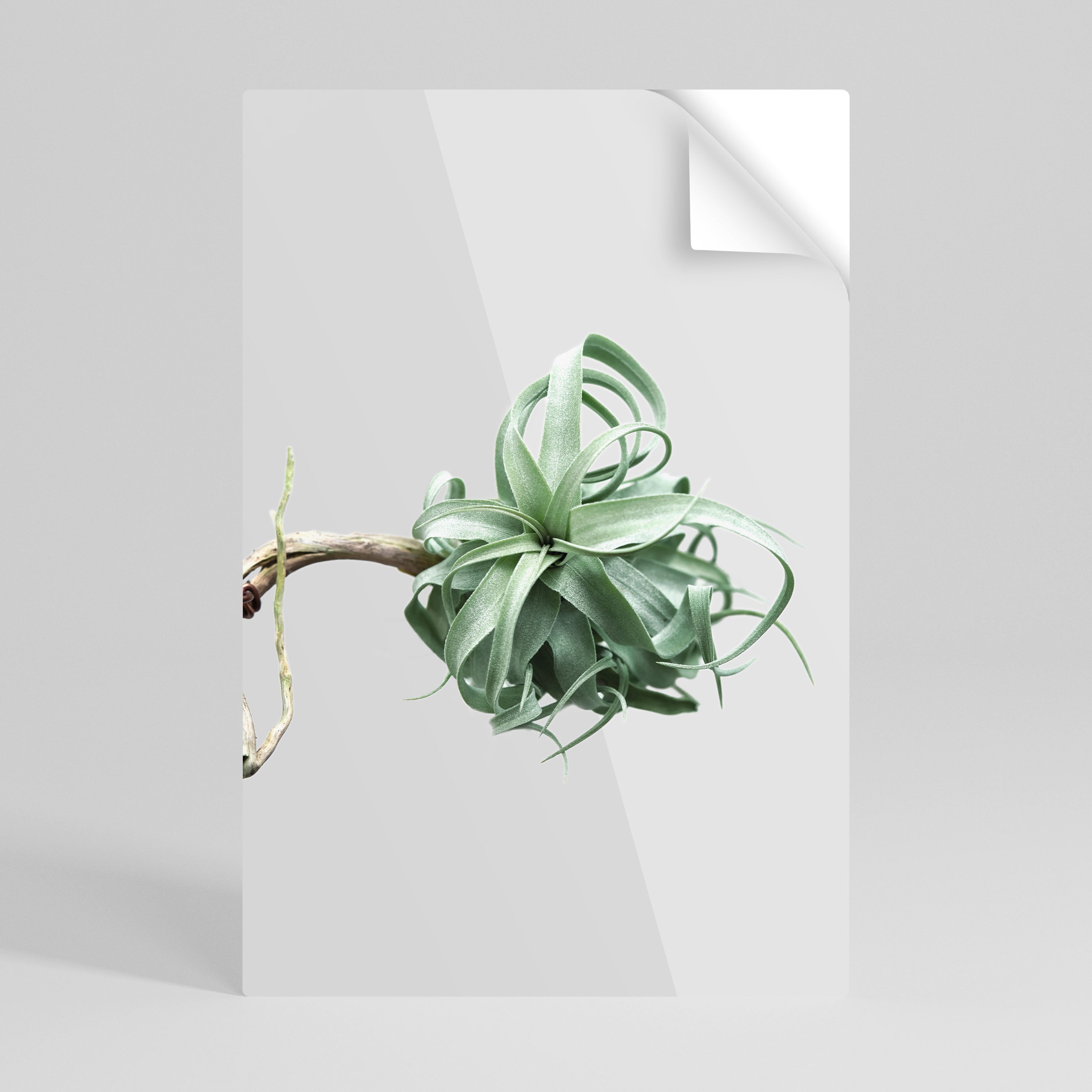 Affiche verticale autocollante « TANGLE OF NATURE »