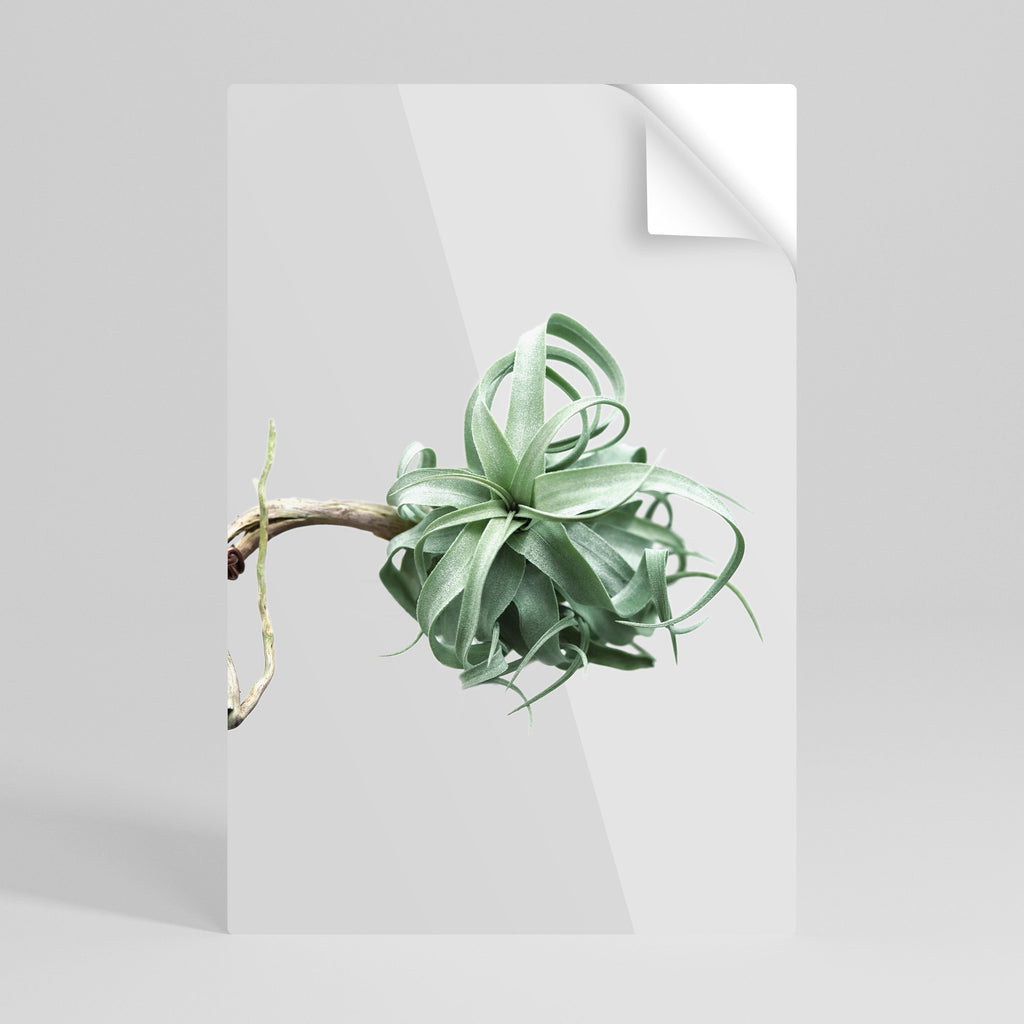 Affiche verticale autocollante « TANGLE OF NATURE »