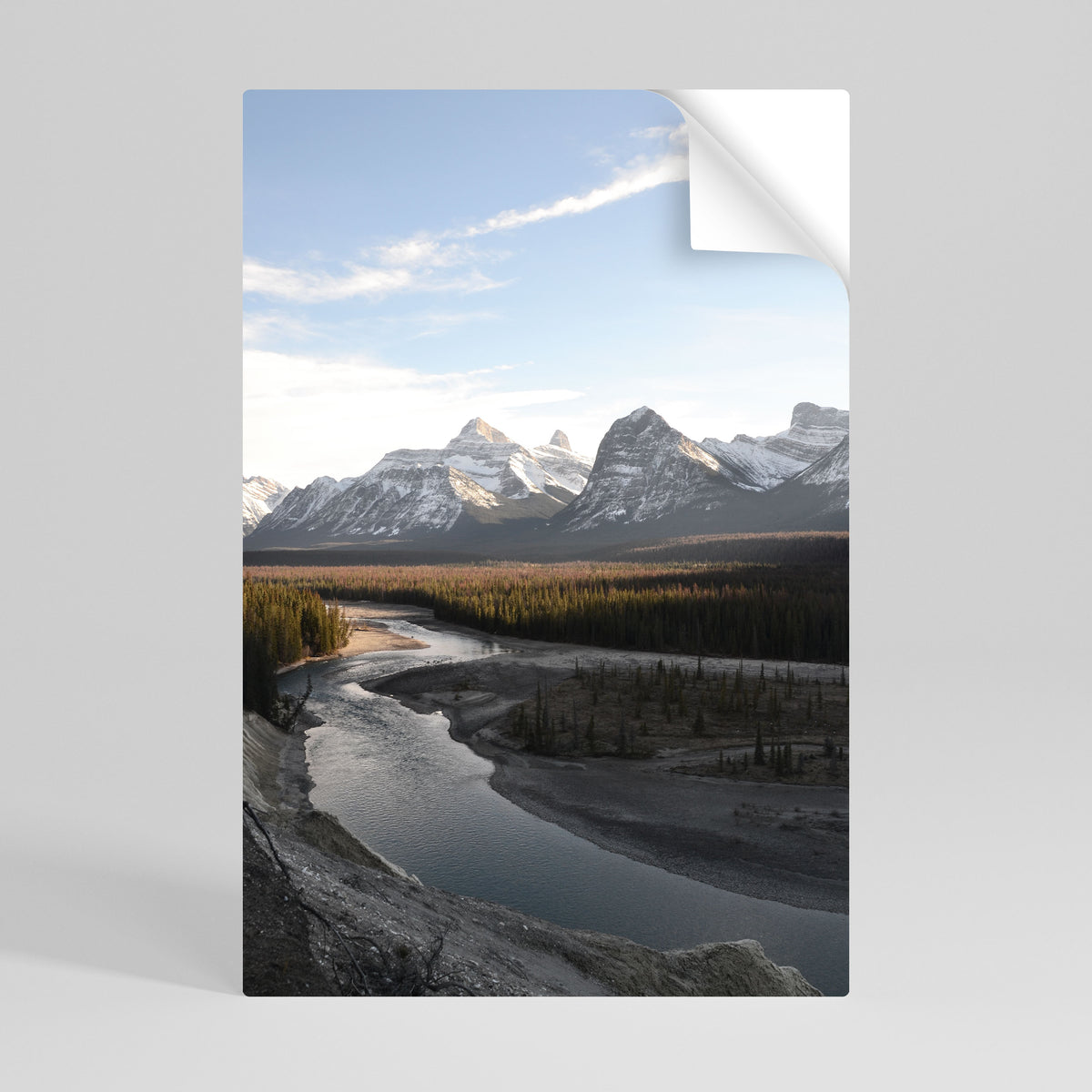 ECHOES OF NATURE'S SPLENDOR Peel and Stick Vertical Poster